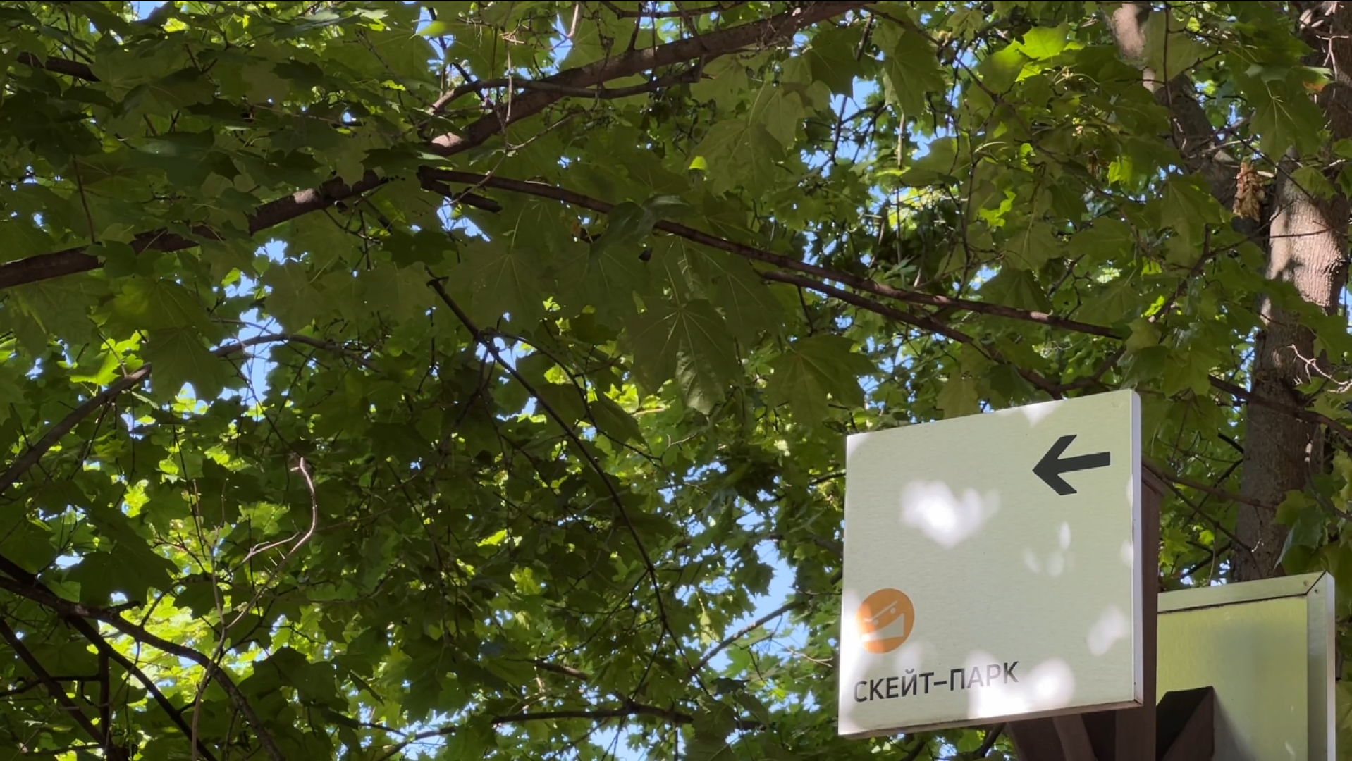 химки, сквер, благоустройство, скейт площадка, памп трек,активный отдых,