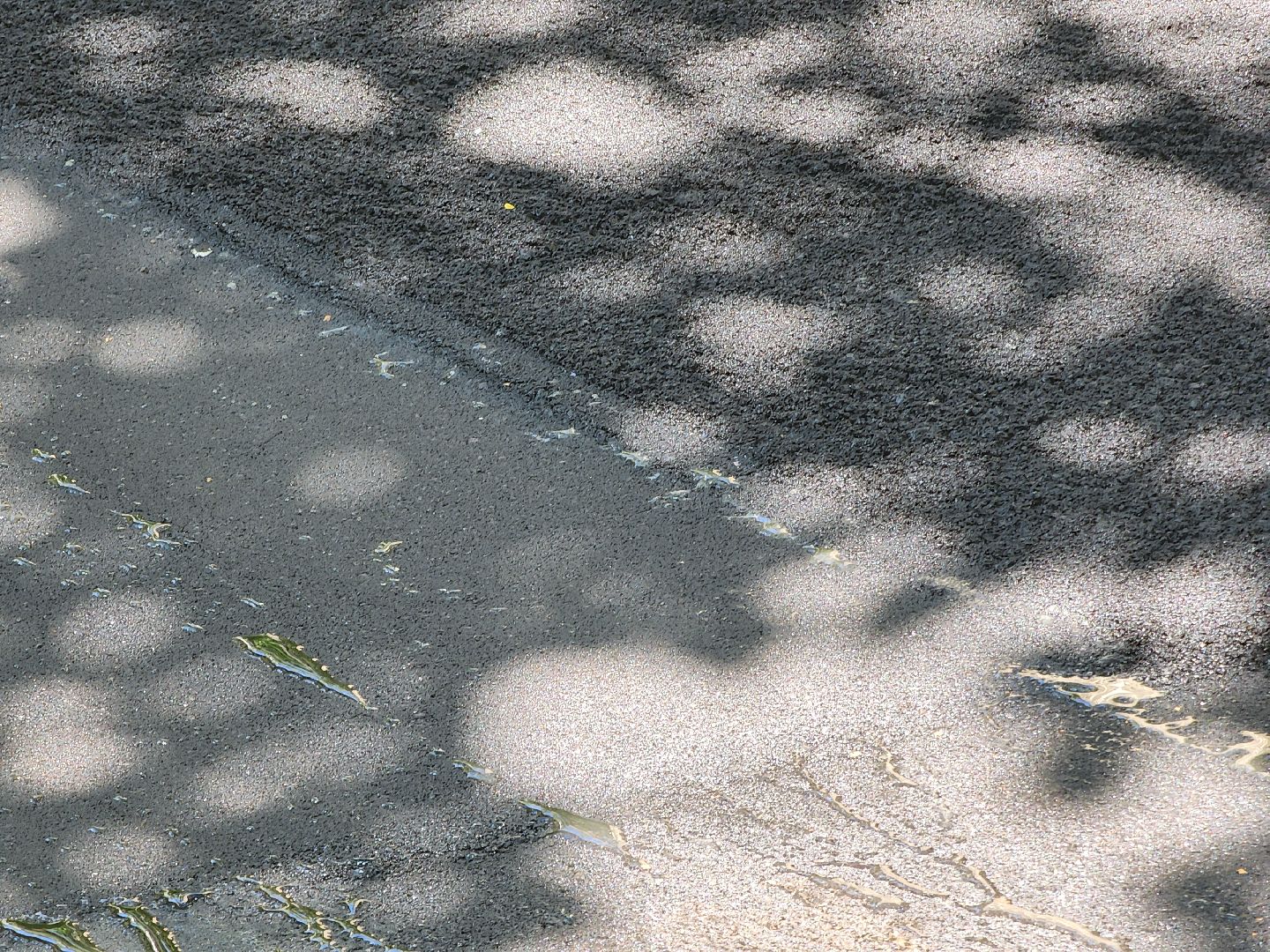 Дубна, Тротуар, Дороги, Асфальт, Ремонт,