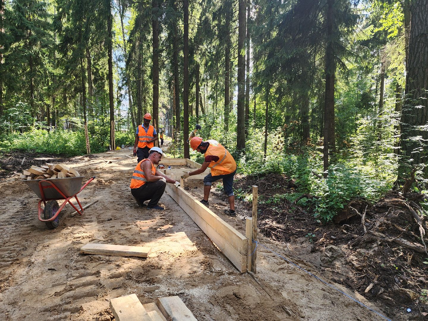 красногорск, благоустройство, плотина, пляж, хайкин, изумрудные холмы, лесопарк,