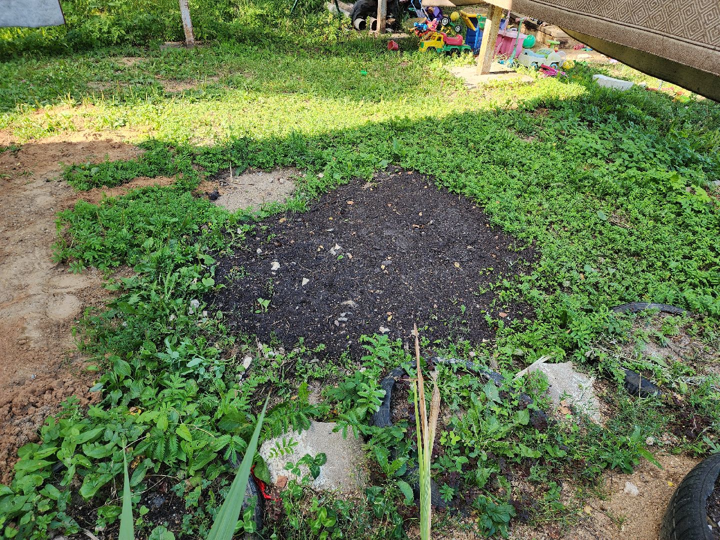 Мишинки, добродел, благоустройство, руза, рузский городской округ, подмосковье, московская область,