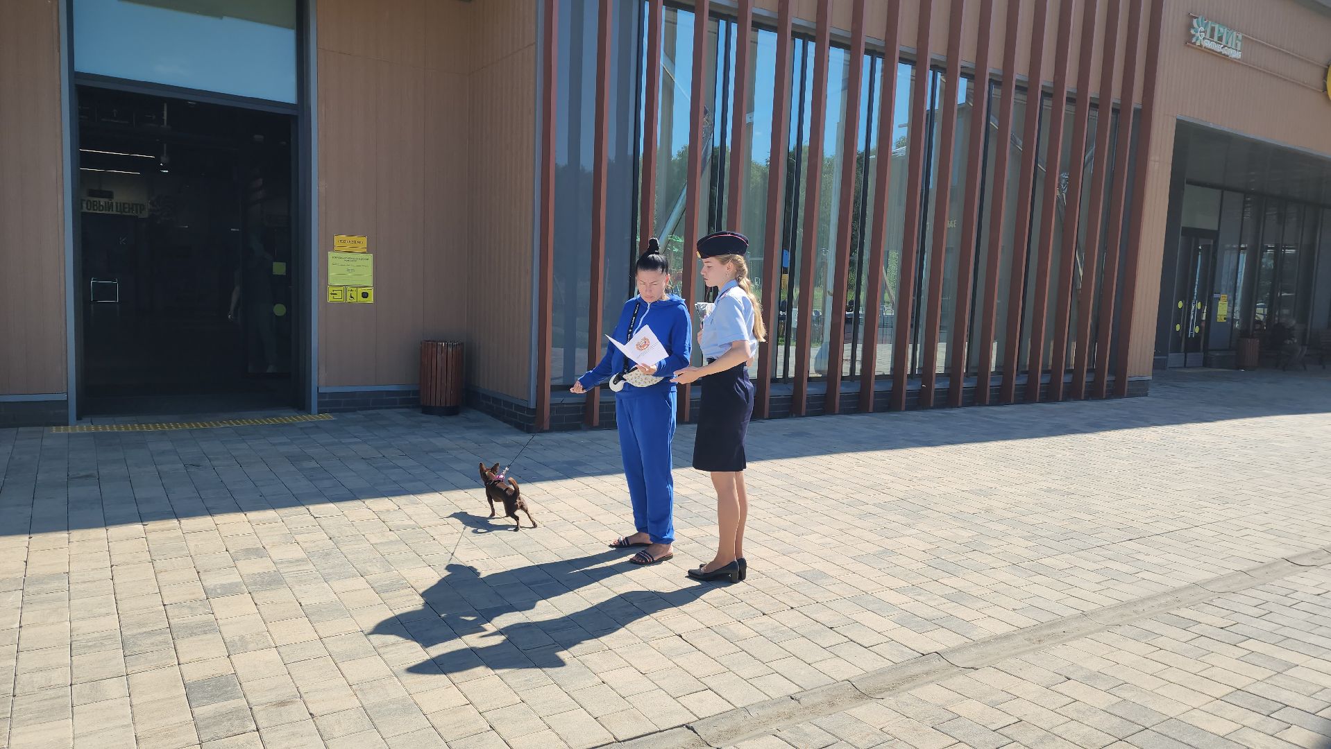 госавтоинспекторы, госавтоинспекция, Лобня,