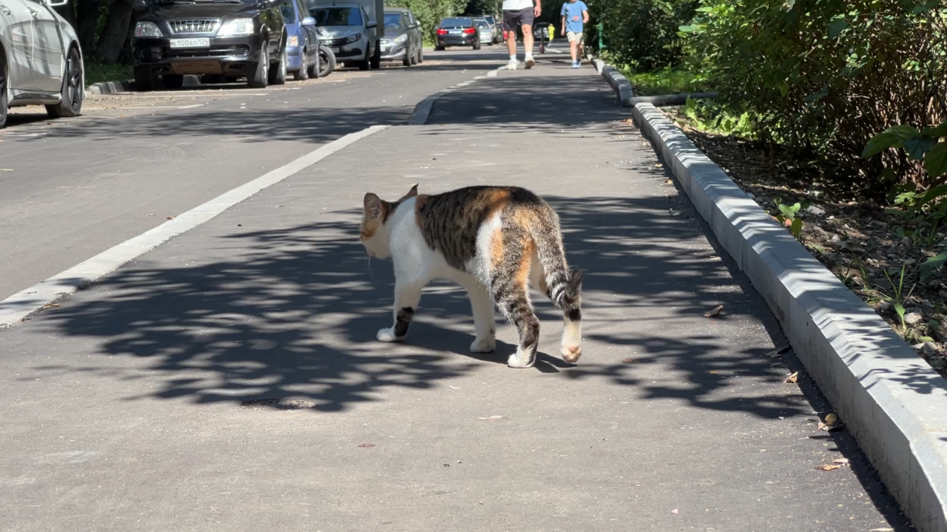 химки, выездная администрация, замена асфальта, замена асфальта во дворе, благоустройство,