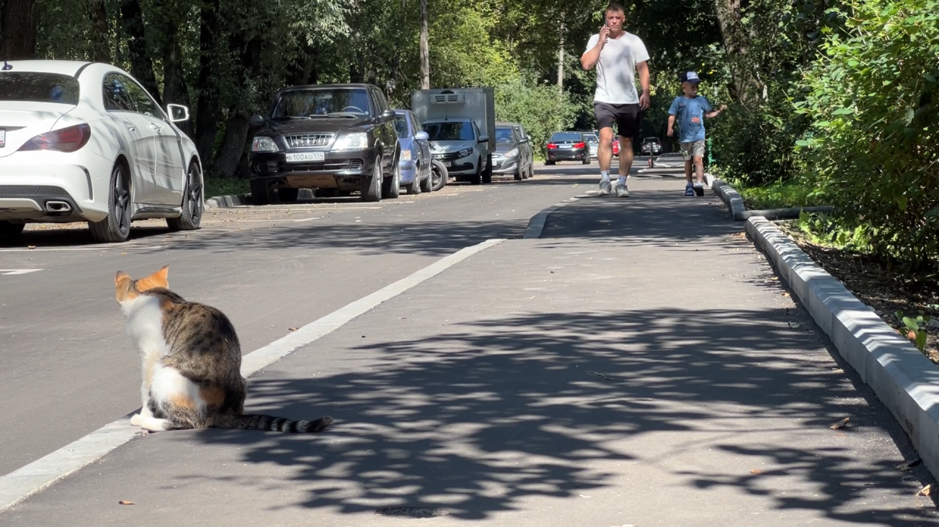 химки, выездная администрация, замена асфальта, замена асфальта во дворе, благоустройство,