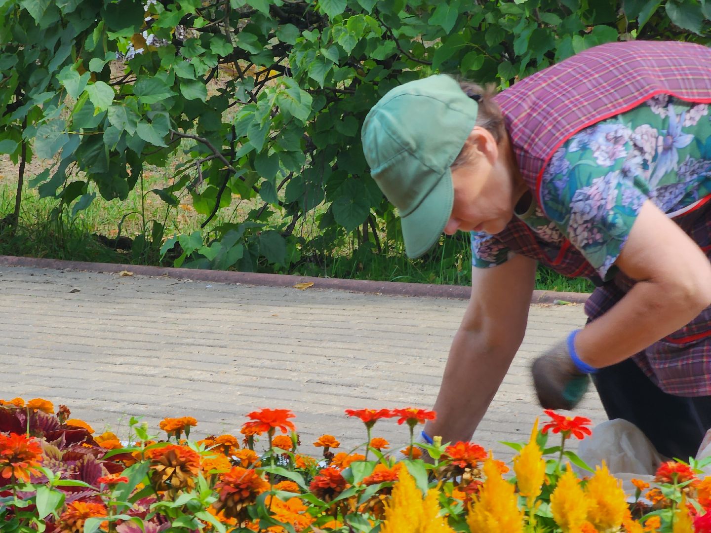 Дубна, Клумбы, Озеленители, коммунальные службы,