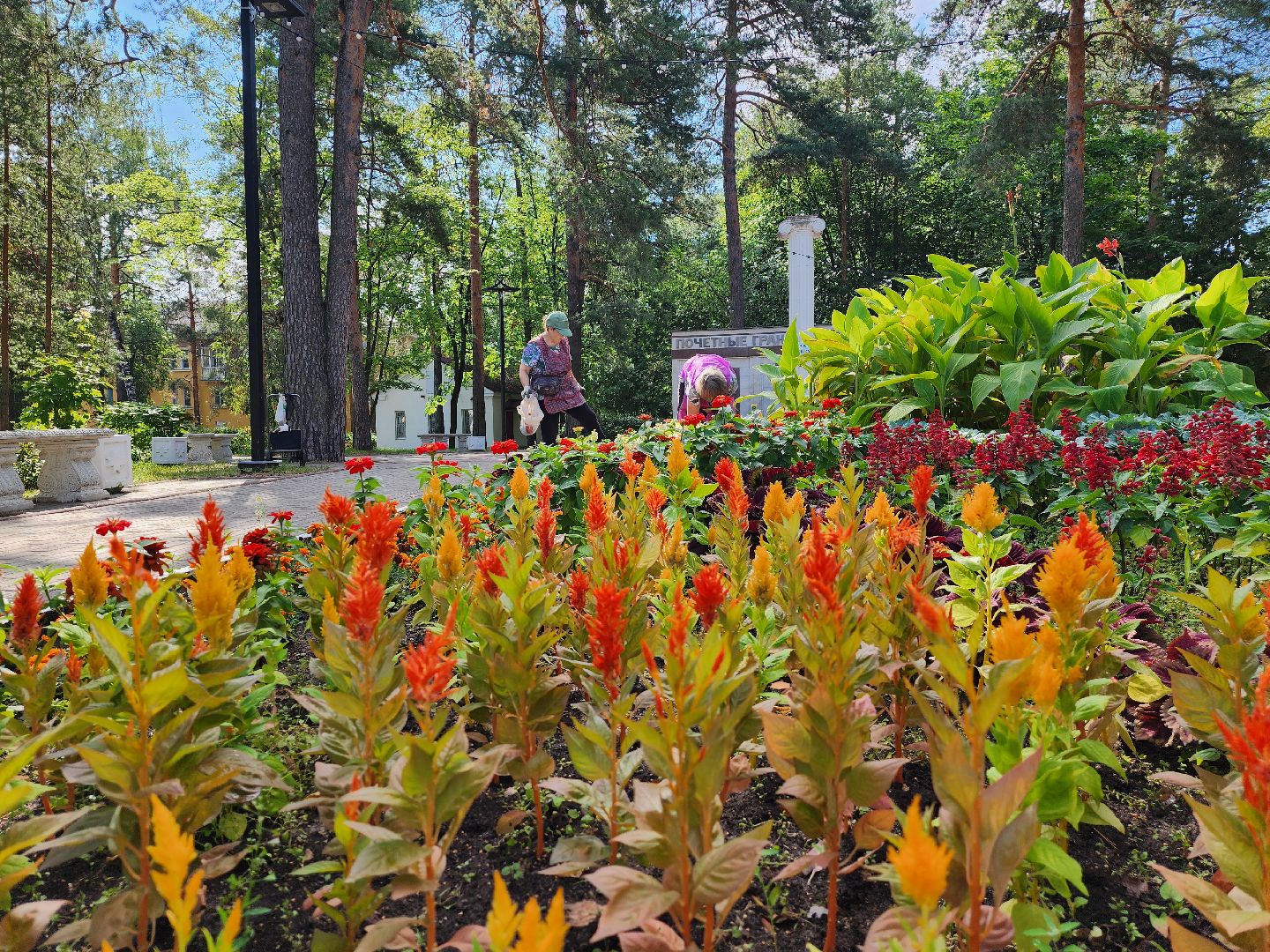 Дубна, Клумбы, Озеленители, коммунальные службы,