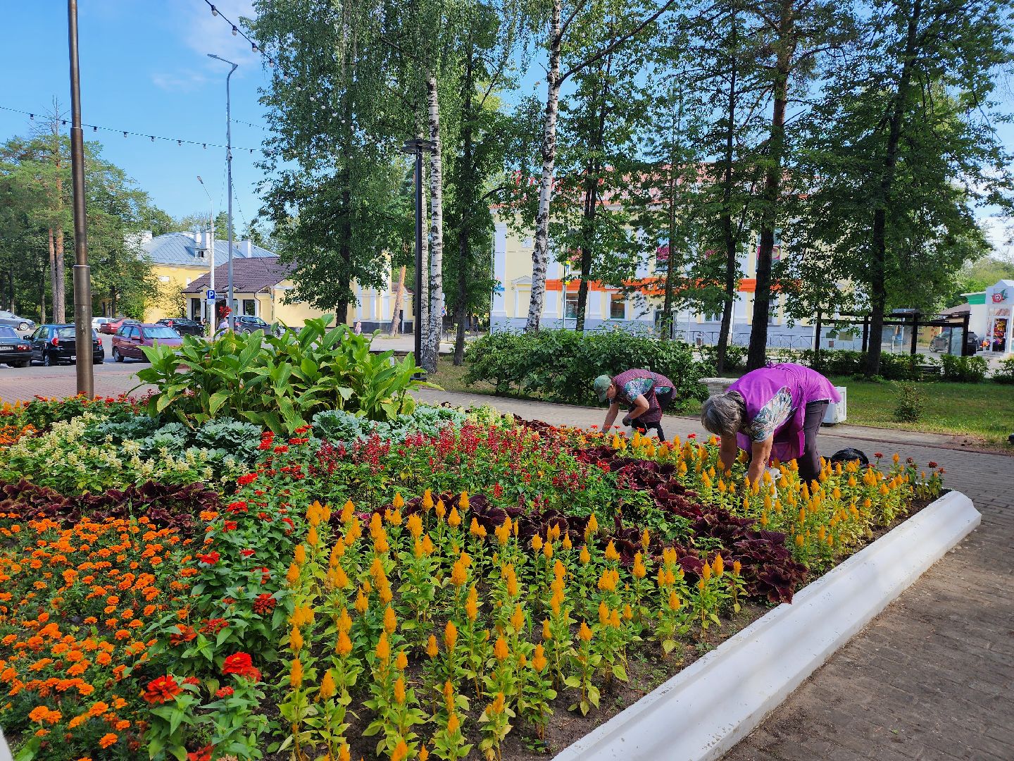 Дубна, Клумбы, Озеленители, коммунальные службы,