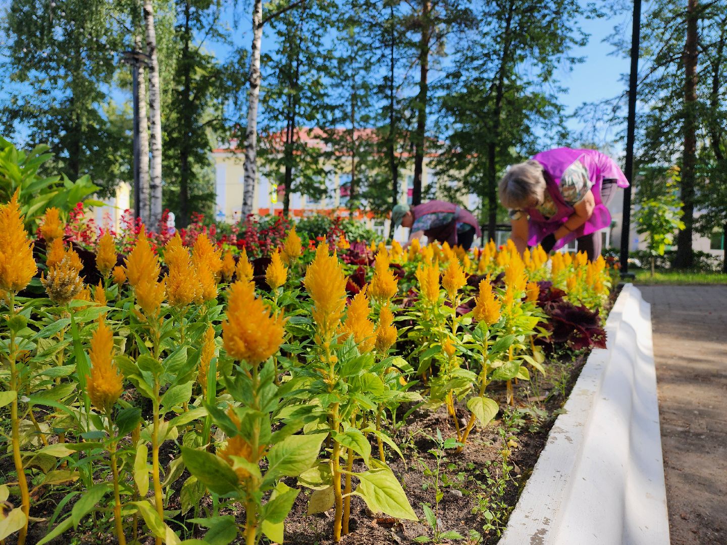 Дубна, Клумбы, Озеленители, коммунальные службы,