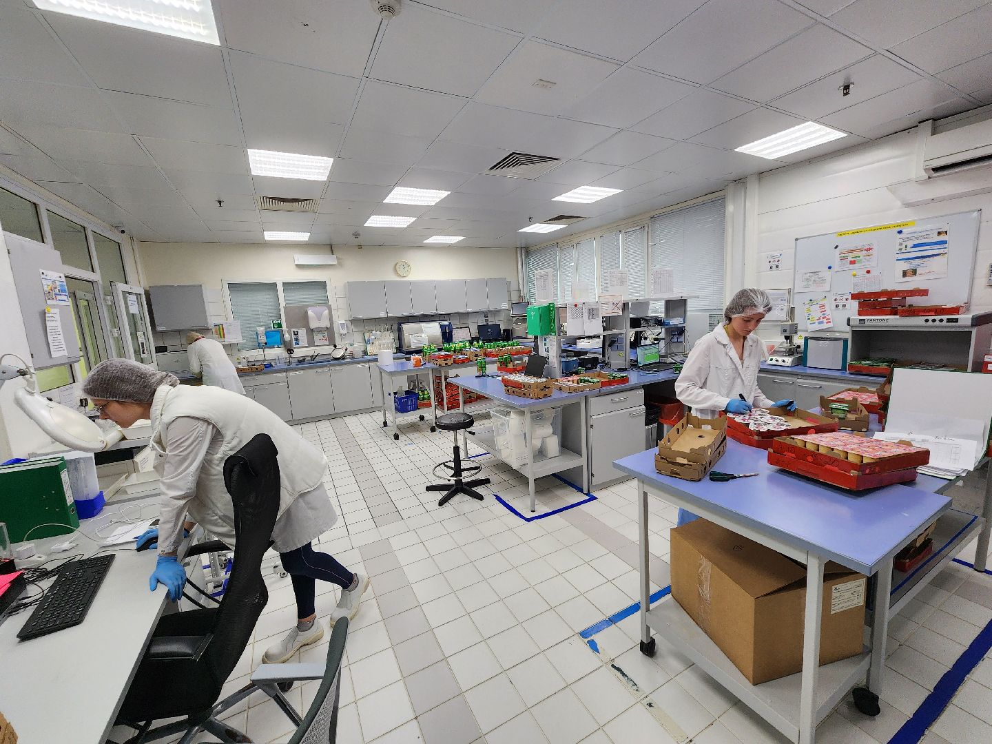 Чехов, поселок Любучаны, завод, предприятие, Health and Nutrition, рост производства, увеличение объемов производства, молочная продукция, йогурты, творожки, молоко, пищевая промышленность, экономика,