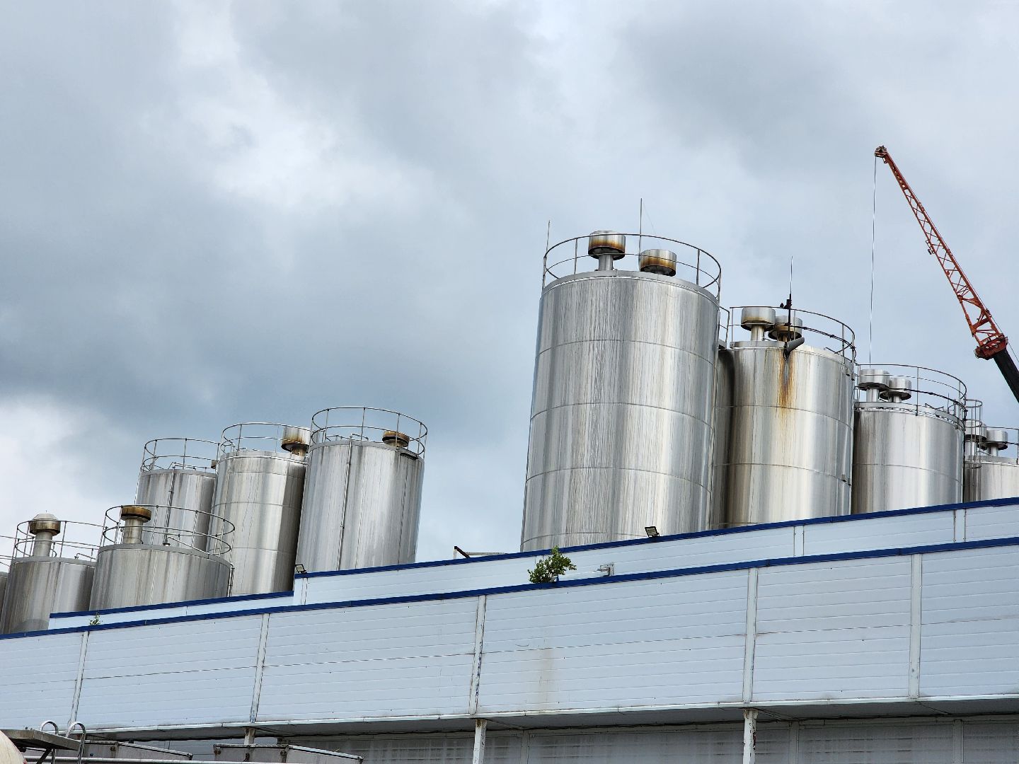 Чехов, поселок Любучаны, завод, предприятие, Health and Nutrition, рост производства, увеличение объемов производства, молочная продукция, йогурты, творожки, молоко, пищевая промышленность, экономика,