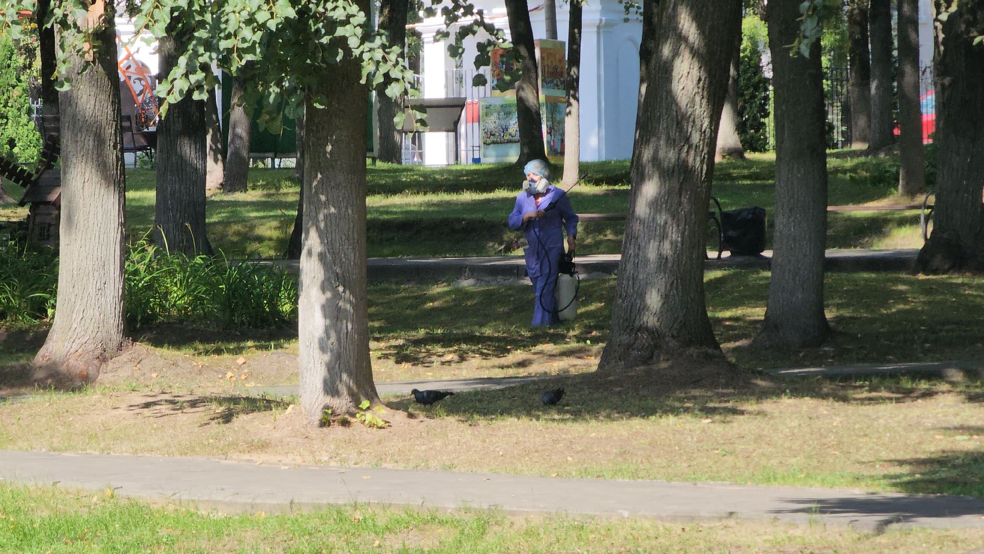 егорьевск, парк, пегас, клещи, обработка, благоустройство,