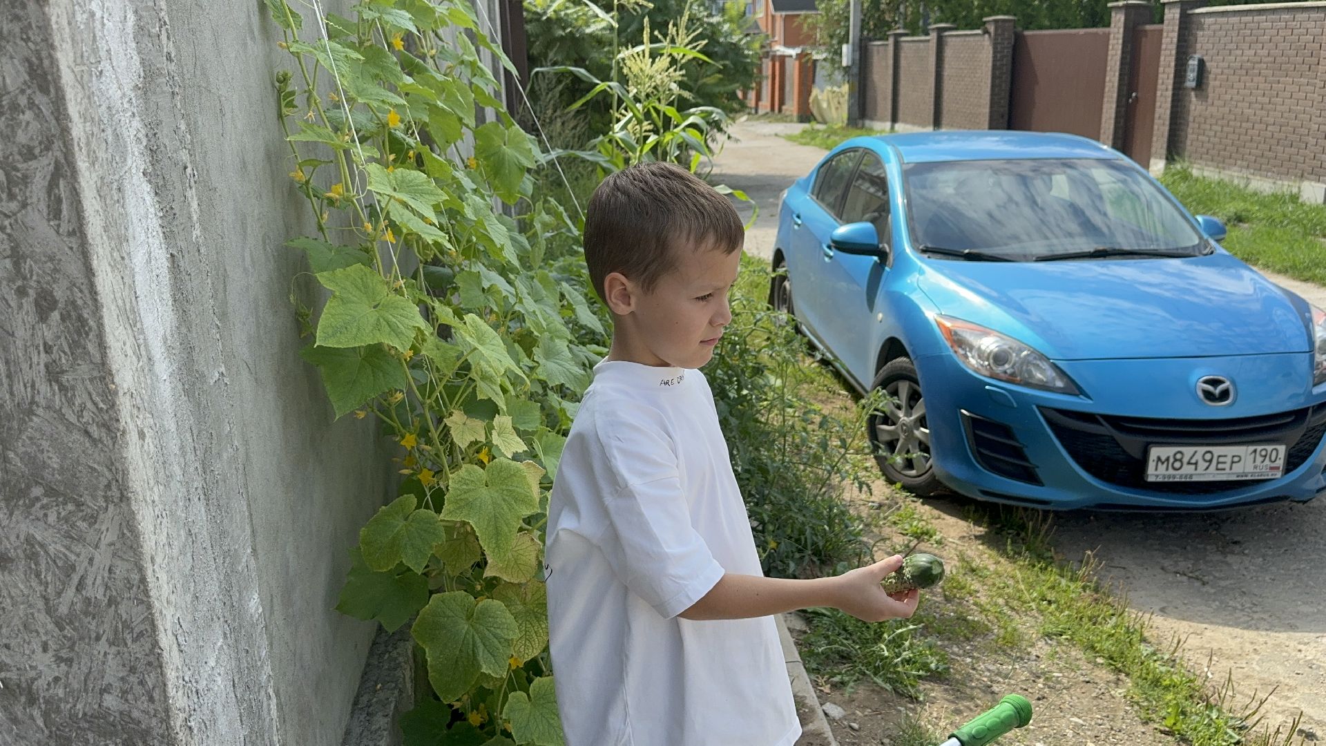 Маленький шахматист, Чемпион детского кубка по шахматам, Илья Османов, город видное, шахматы, ленинский городской округ,