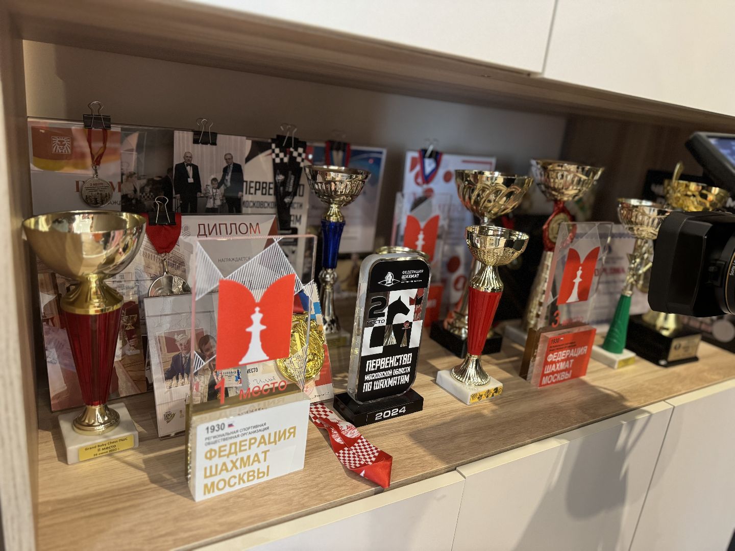 Маленький шахматист, Чемпион детского кубка по шахматам, Илья Османов, город видное, шахматы, ленинский городской округ,