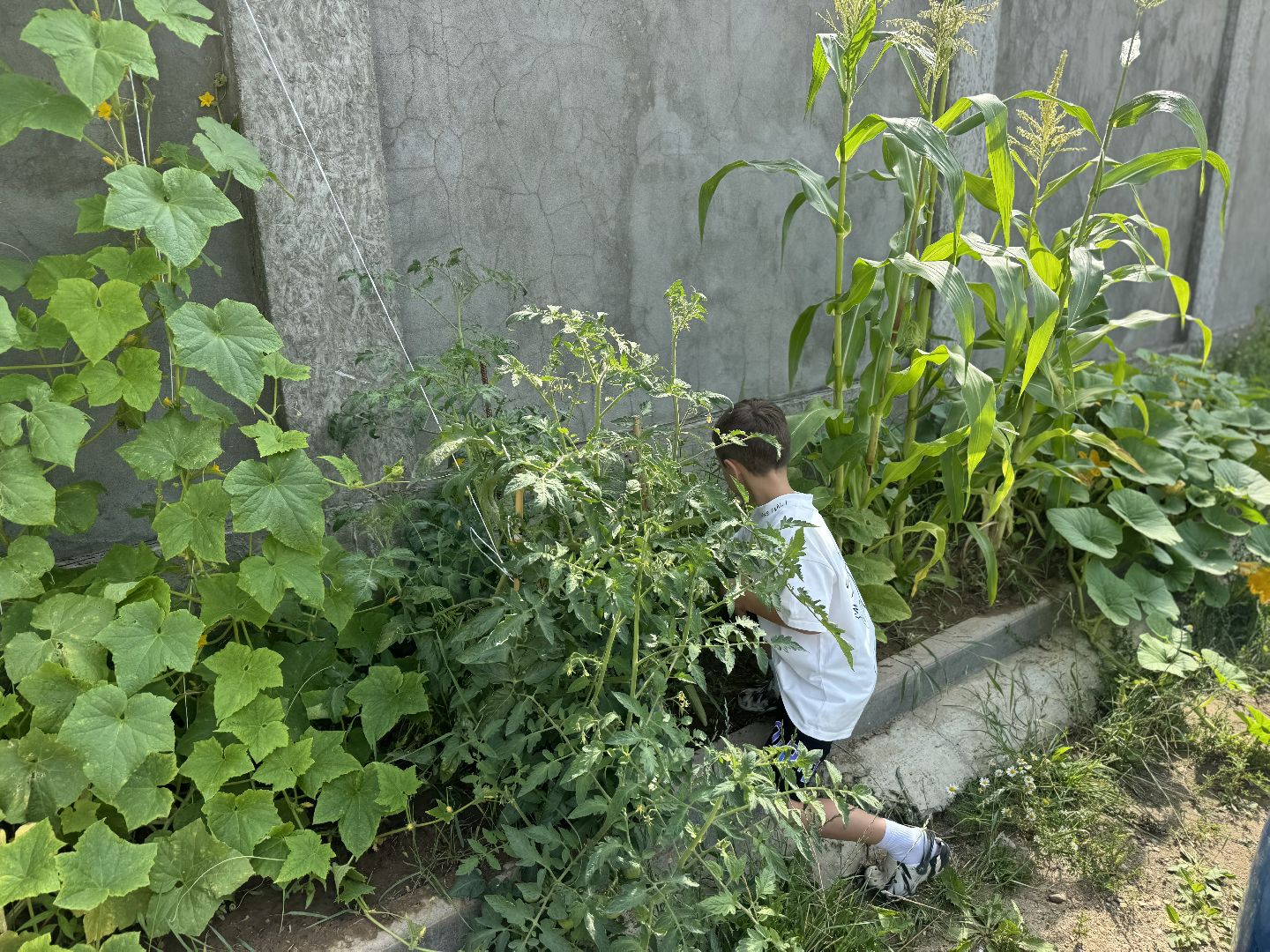 Маленький шахматист, Чемпион детского кубка по шахматам, Илья Османов, город видное, шахматы, ленинский городской округ,