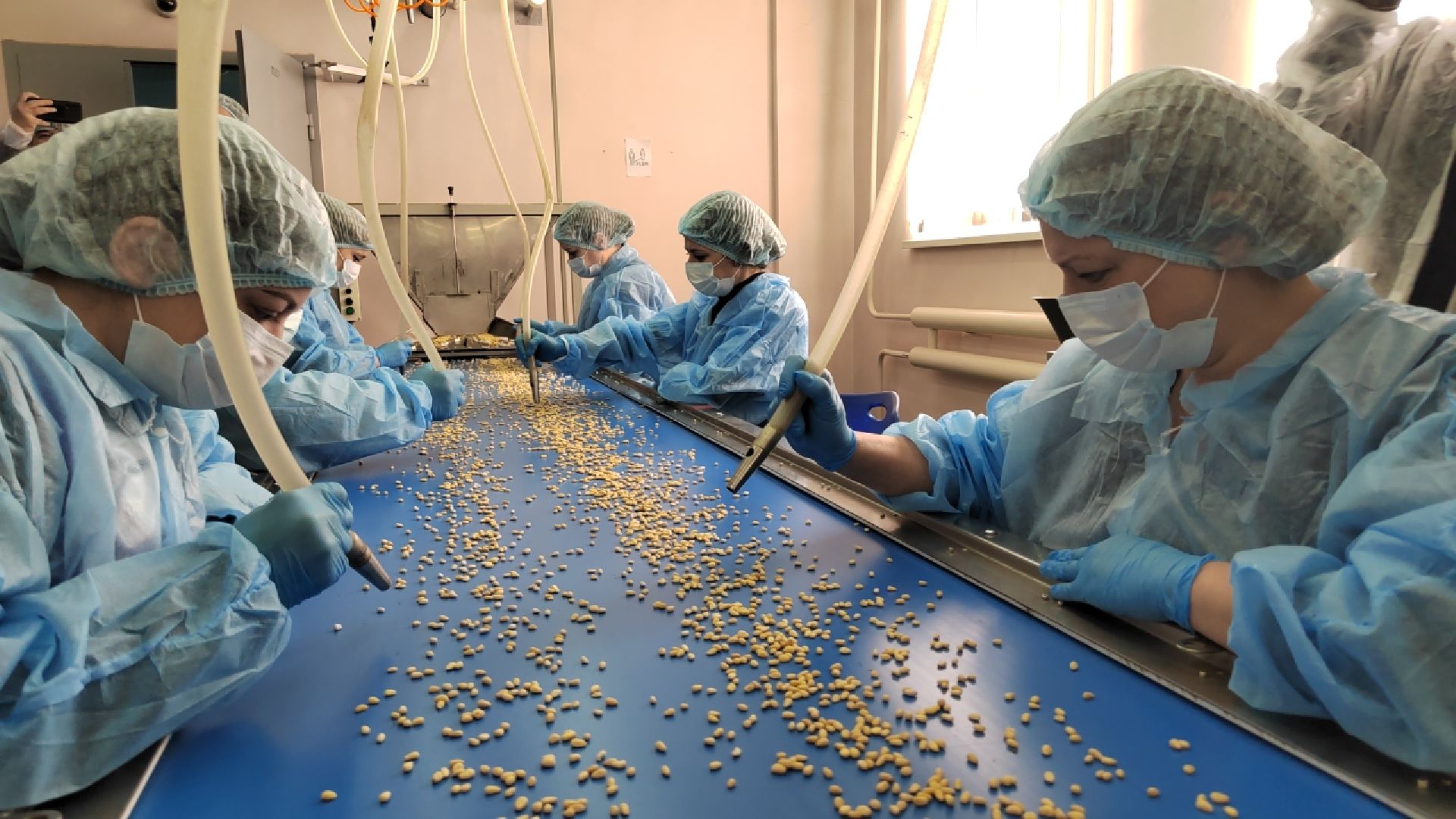 Пушкино, Пушкинский округ, сельское хозяйство, производство,