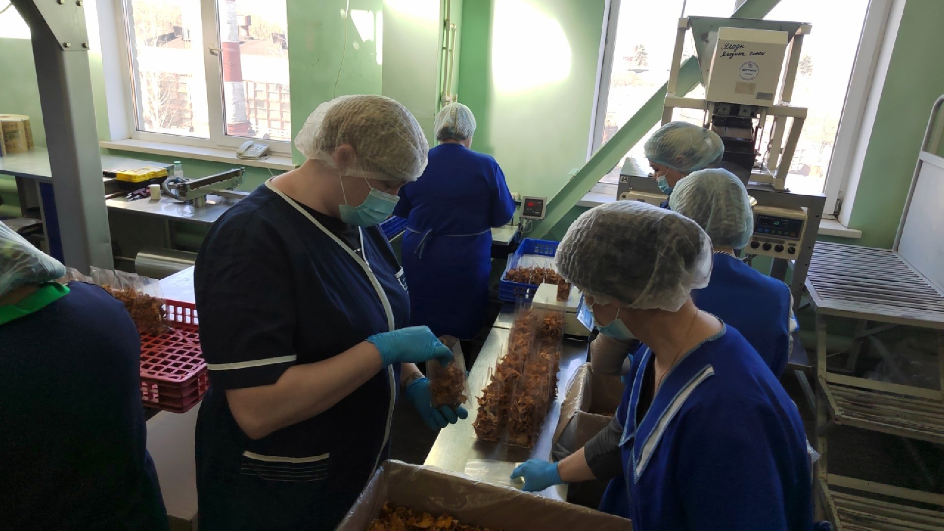 Пушкино, Пушкинский округ, сельское хозяйство, производство,