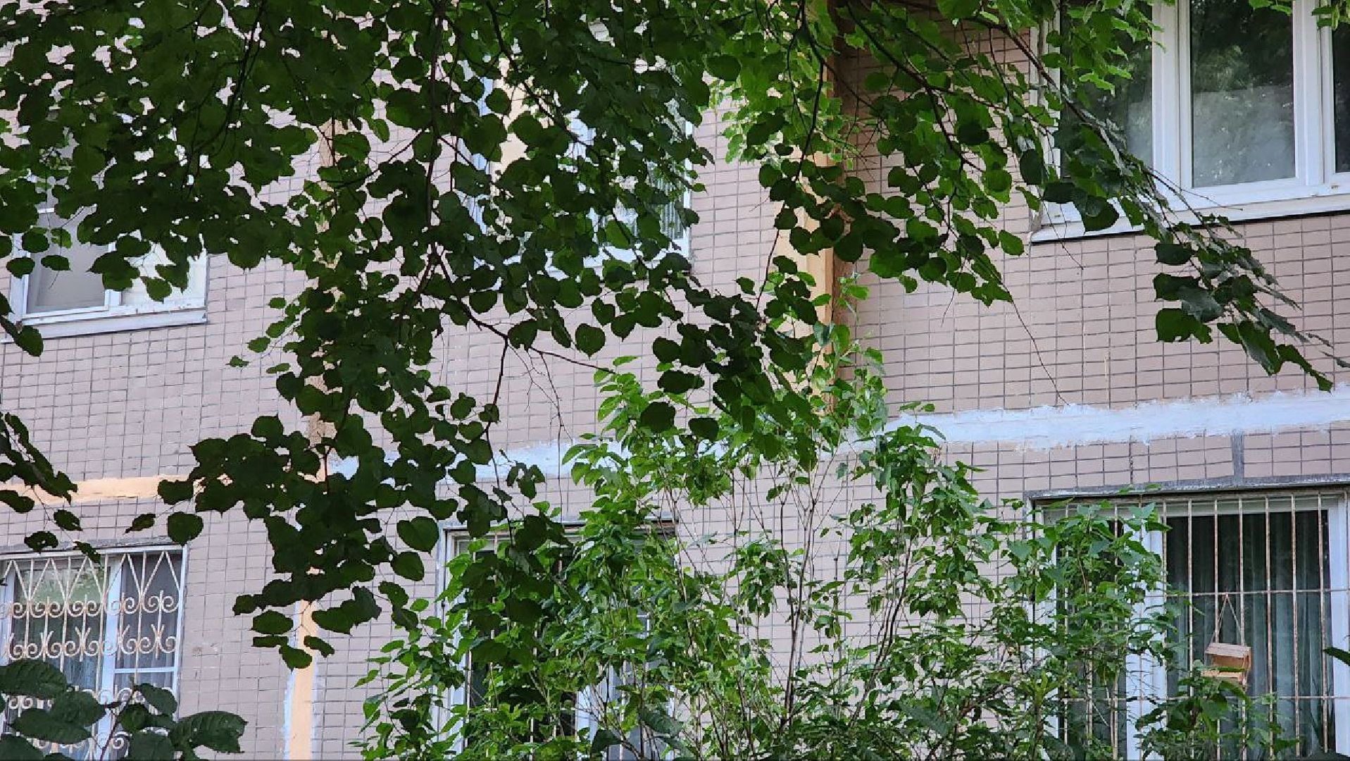 Реутов, выездная администрация, вопрос, ответ, город живет, ЖКХ, счетчики,