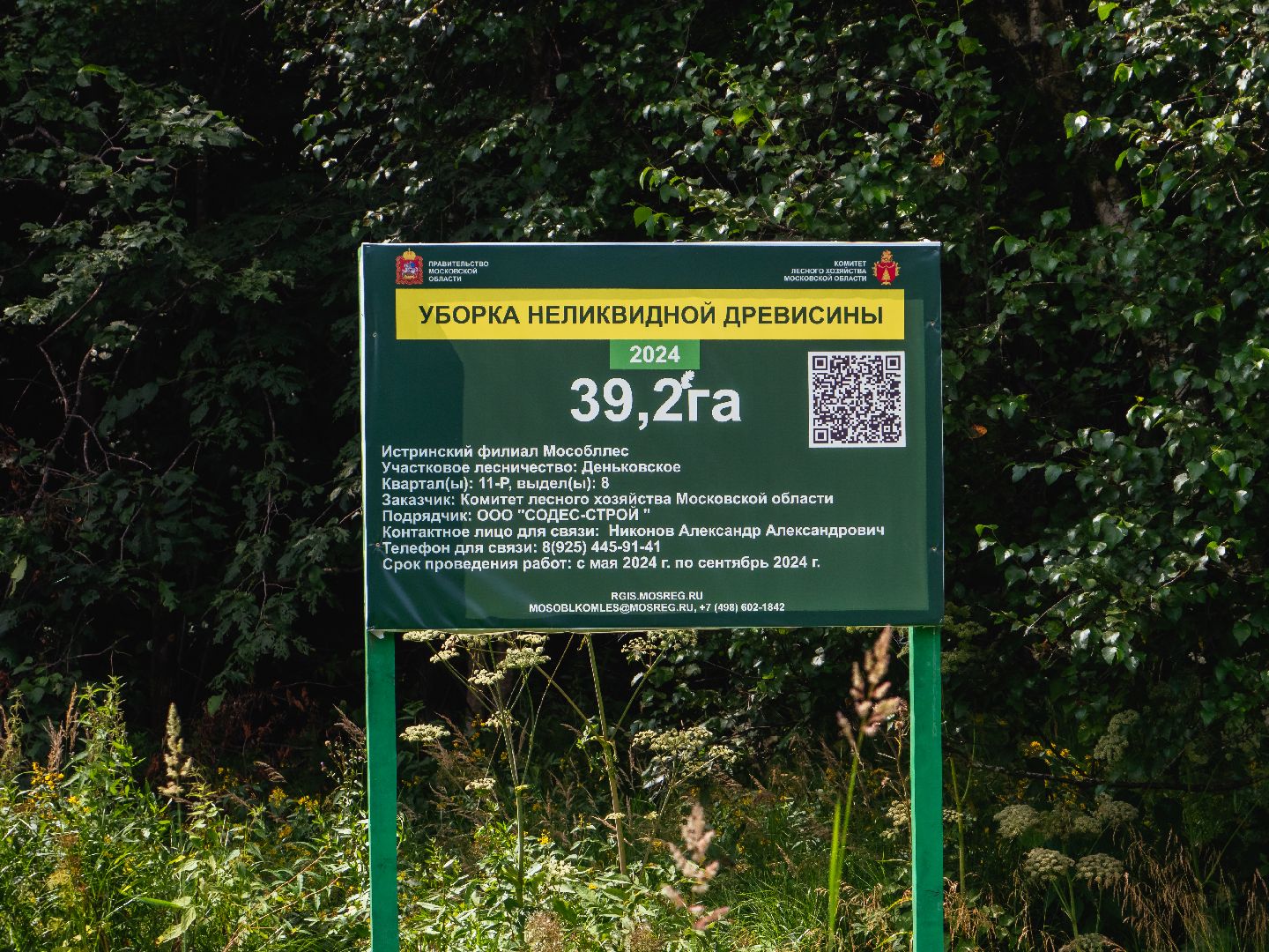 подмосковье, лесничество, экология,