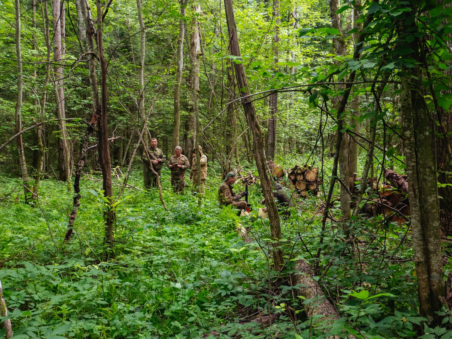 подмосковье, лесничество, экология,