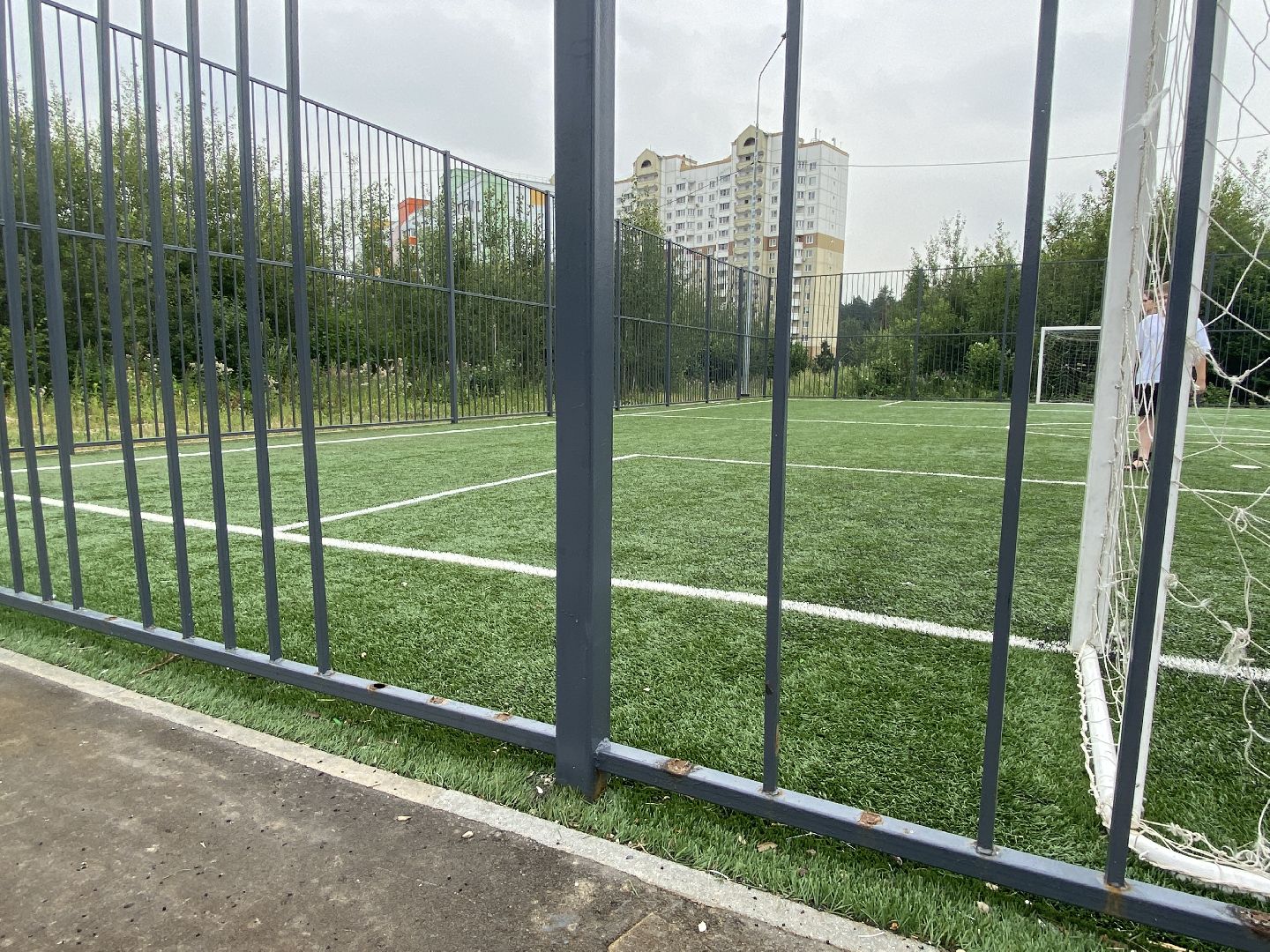 обход территории власиха, обращений жителей, Власиха мкр Заозерный, спортивная площадка власиха, футбольное поле власиха,