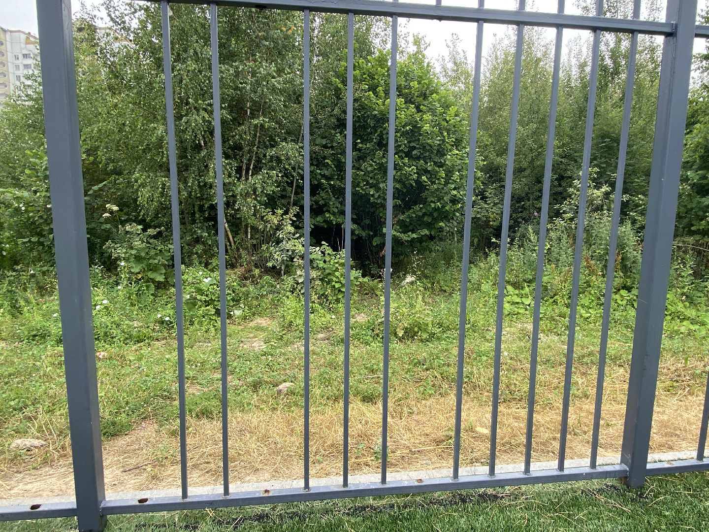 обход территории власиха, обращений жителей, Власиха мкр Заозерный, спортивная площадка власиха, футбольное поле власиха,