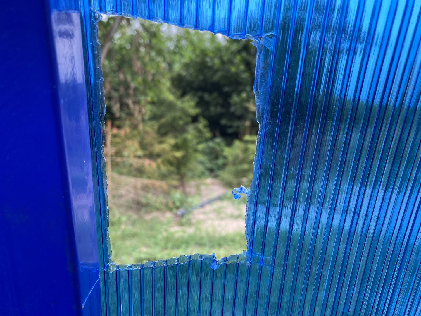 обход территории власиха, обращений жителей, Власиха мкр Заозерный, спортивная площадка власиха, футбольное поле власиха,