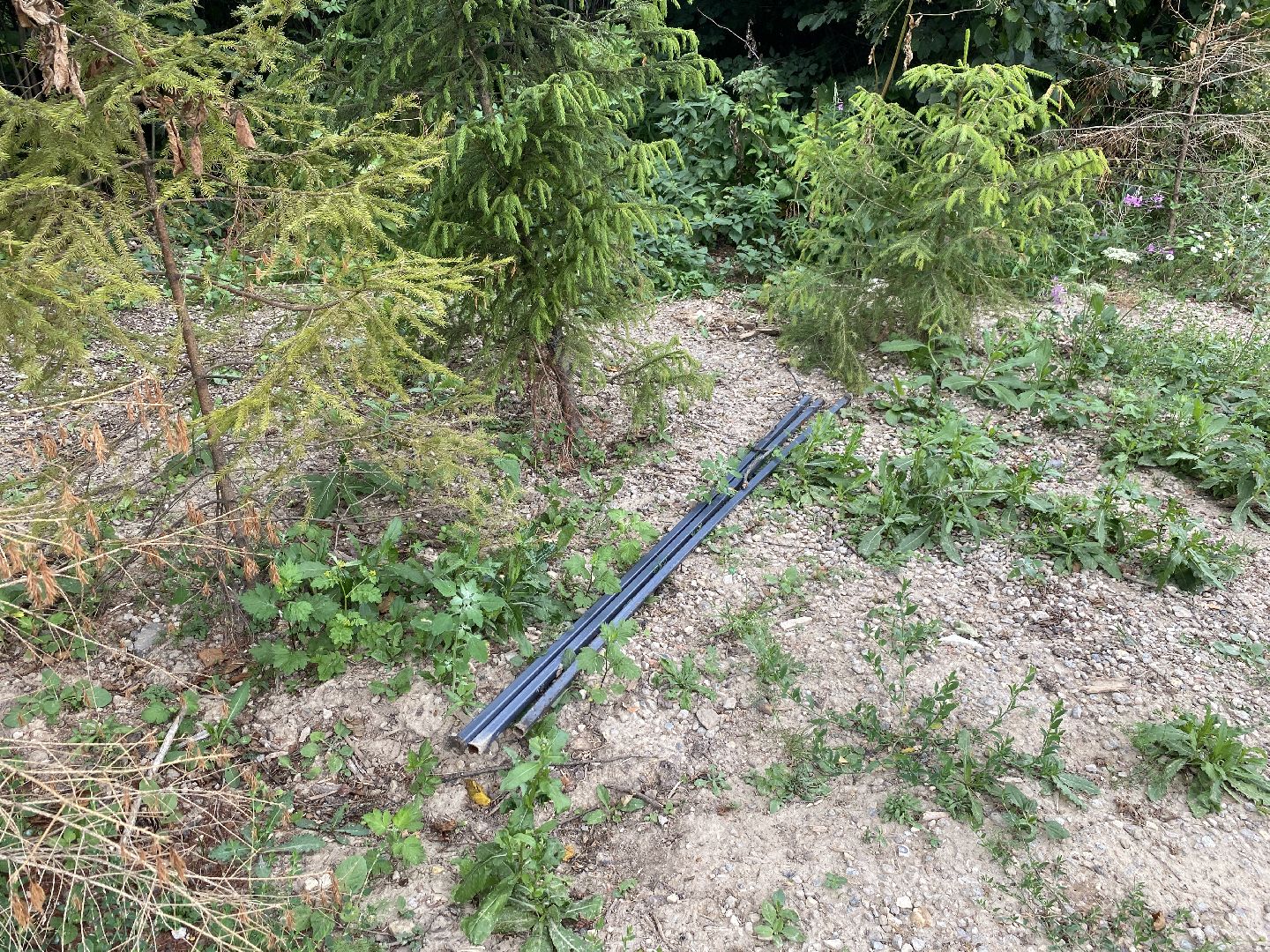 обход территории власиха, обращений жителей, Власиха мкр Заозерный, спортивная площадка власиха, футбольное поле власиха,