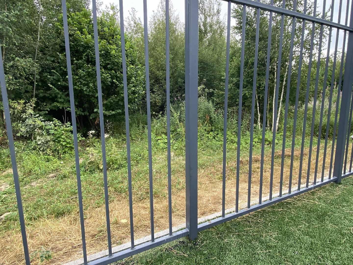 обход территории власиха, обращений жителей, Власиха мкр Заозерный, спортивная площадка власиха, футбольное поле власиха,