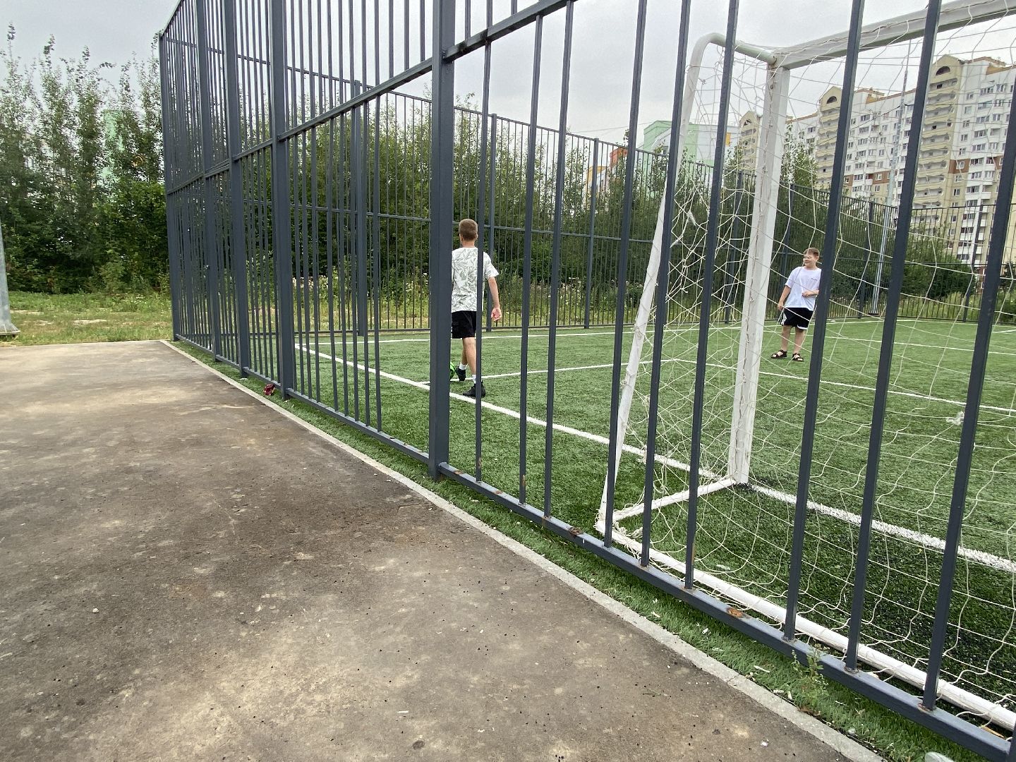 обход территории власиха, обращений жителей, Власиха мкр Заозерный, спортивная площадка власиха, футбольное поле власиха,