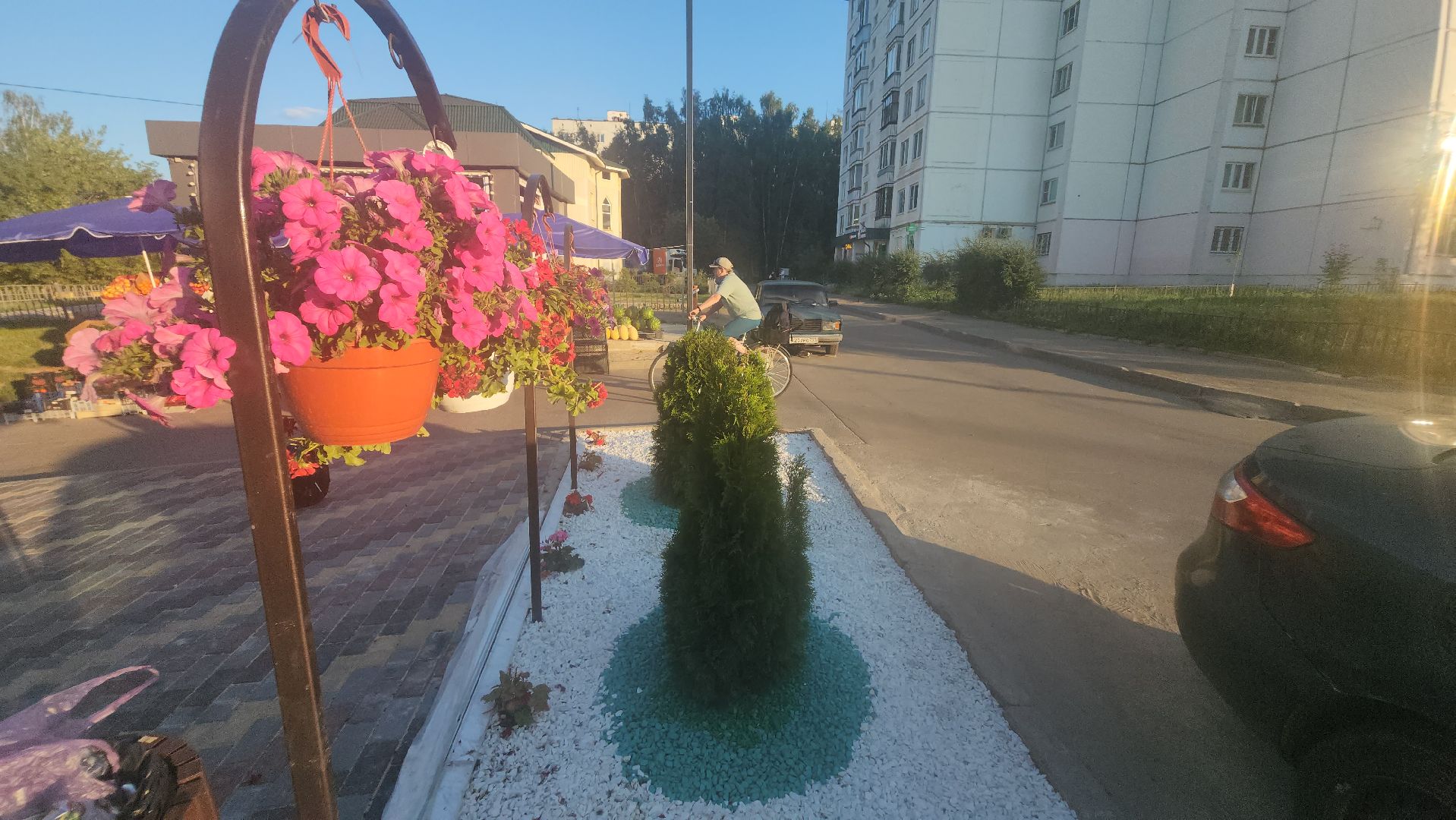 долгопрудный, МЦД Водники, клумбы, проспект пацаева, киоск,