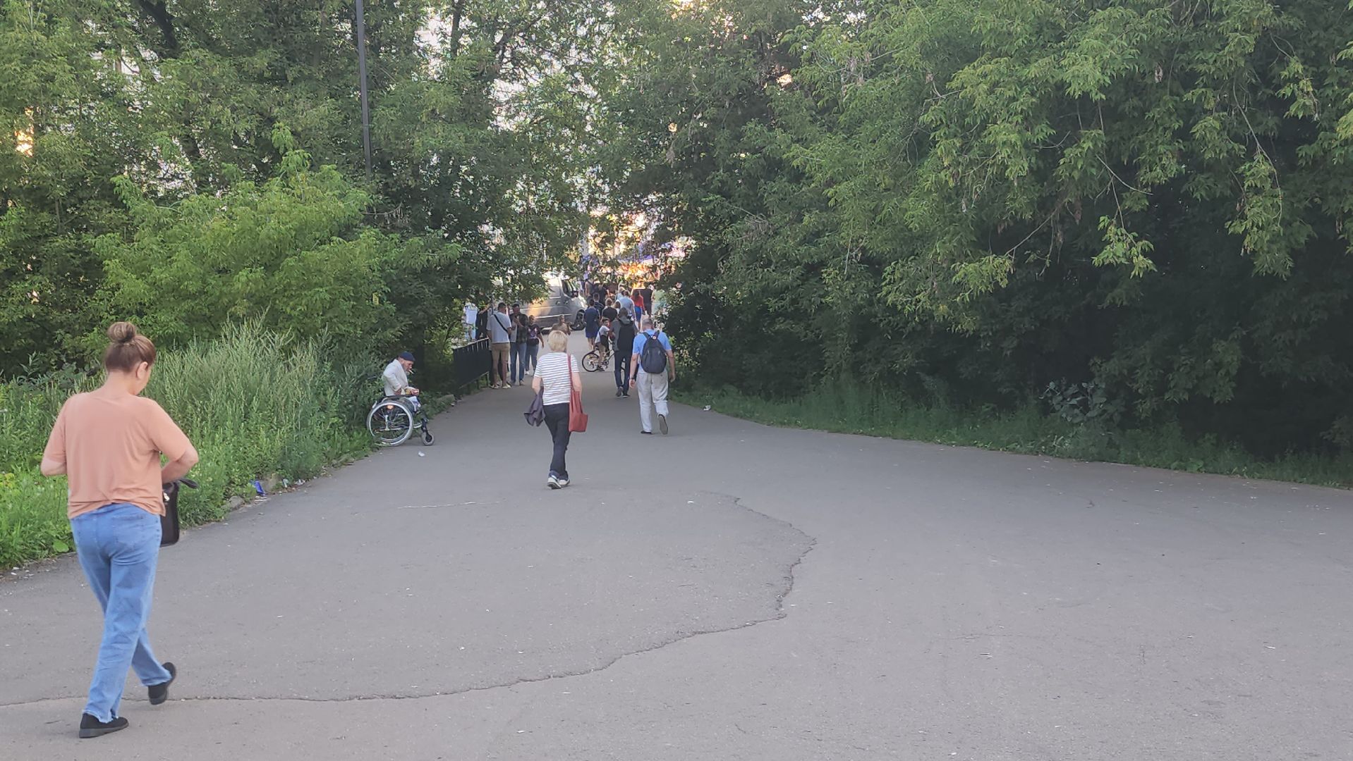 долгопрудный, МЦД Водники, клумбы, проспект пацаева, киоск,