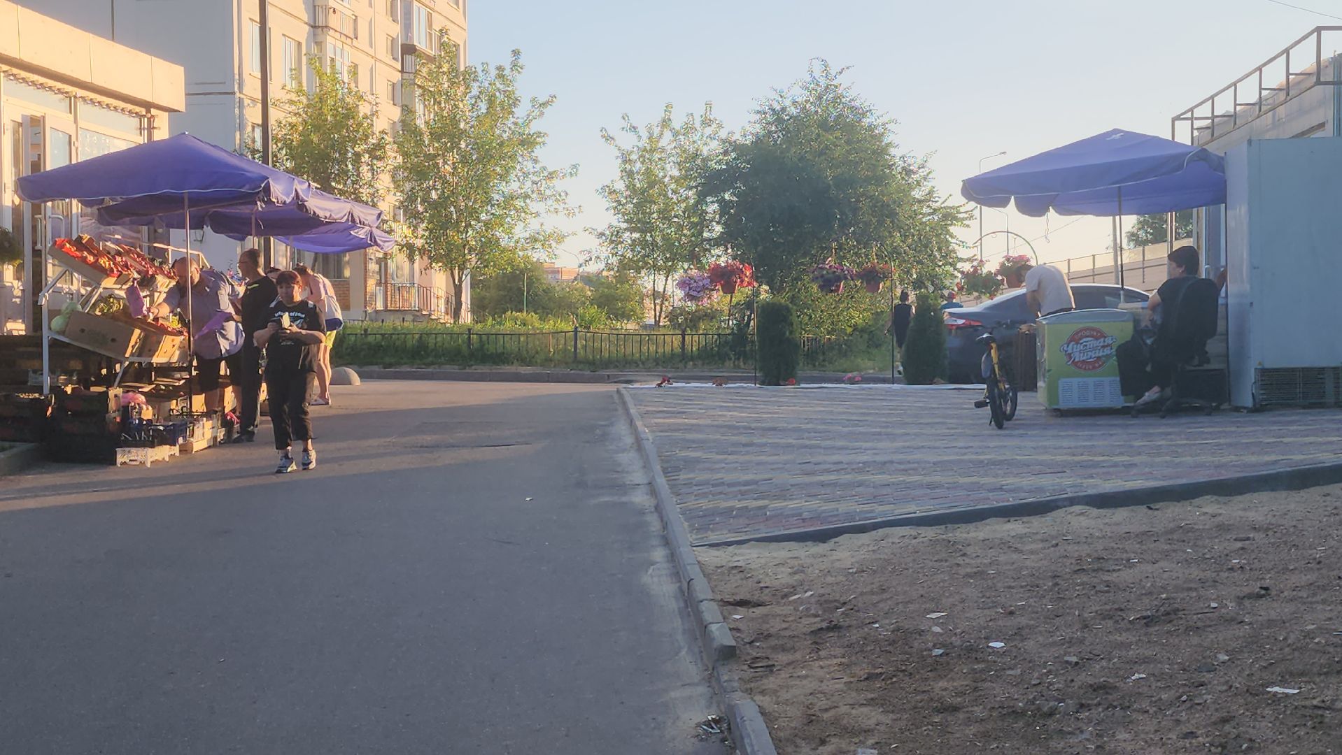 долгопрудный, МЦД Водники, клумбы, проспект пацаева, киоск,