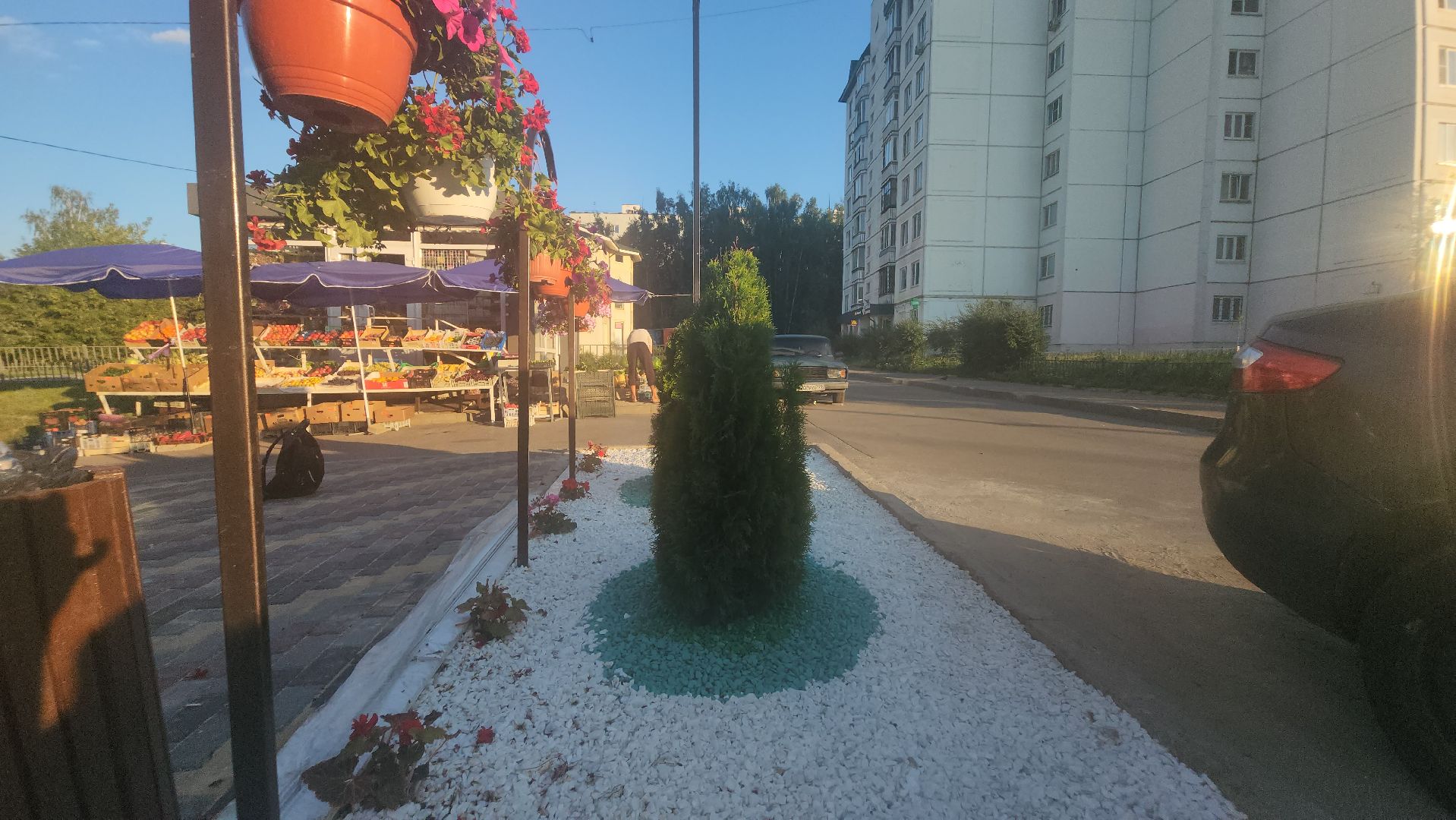 долгопрудный, МЦД Водники, клумбы, проспект пацаева, киоск,