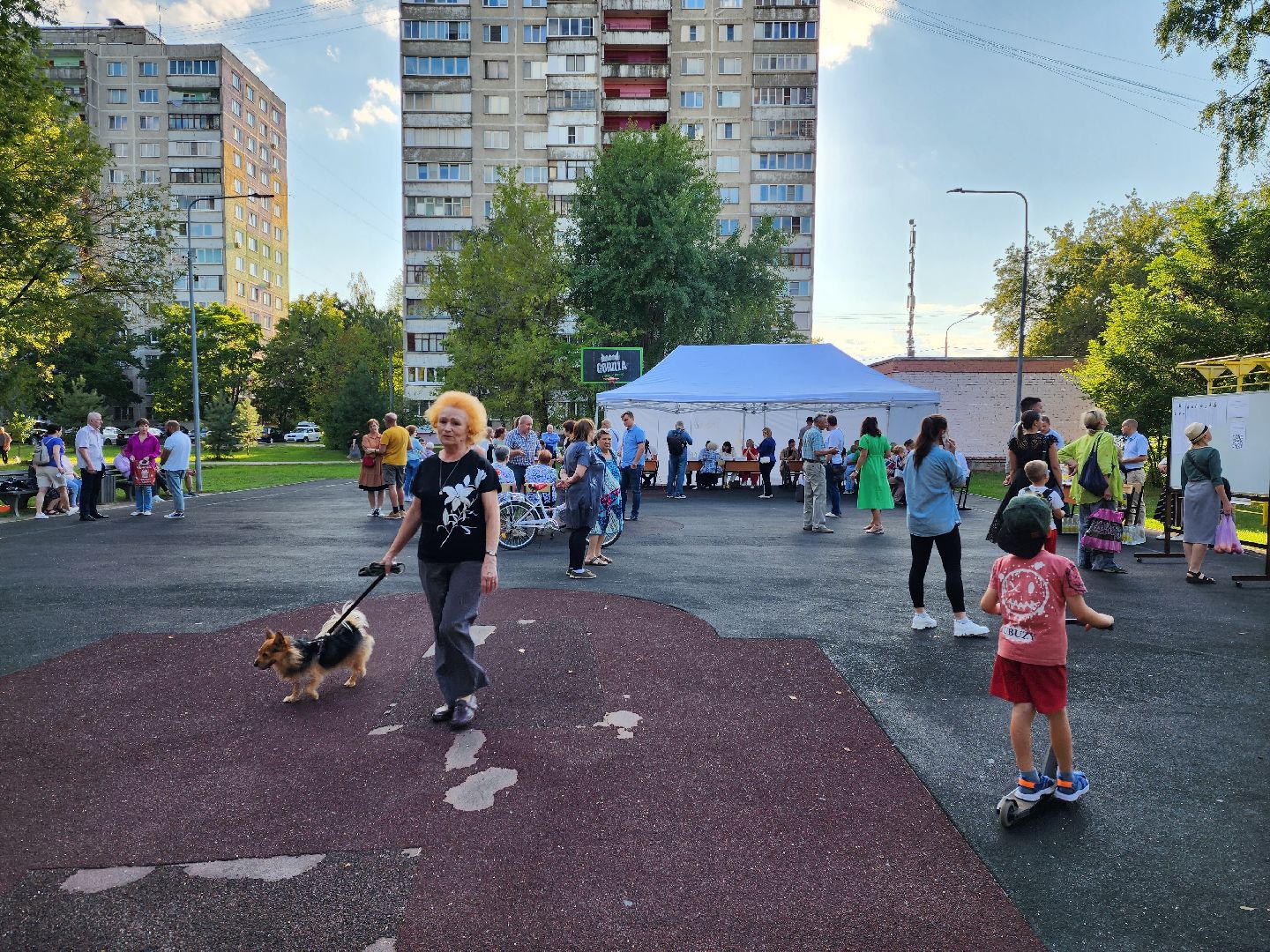 раменское, общество, выездная администрация, площадка у озера Пионер,