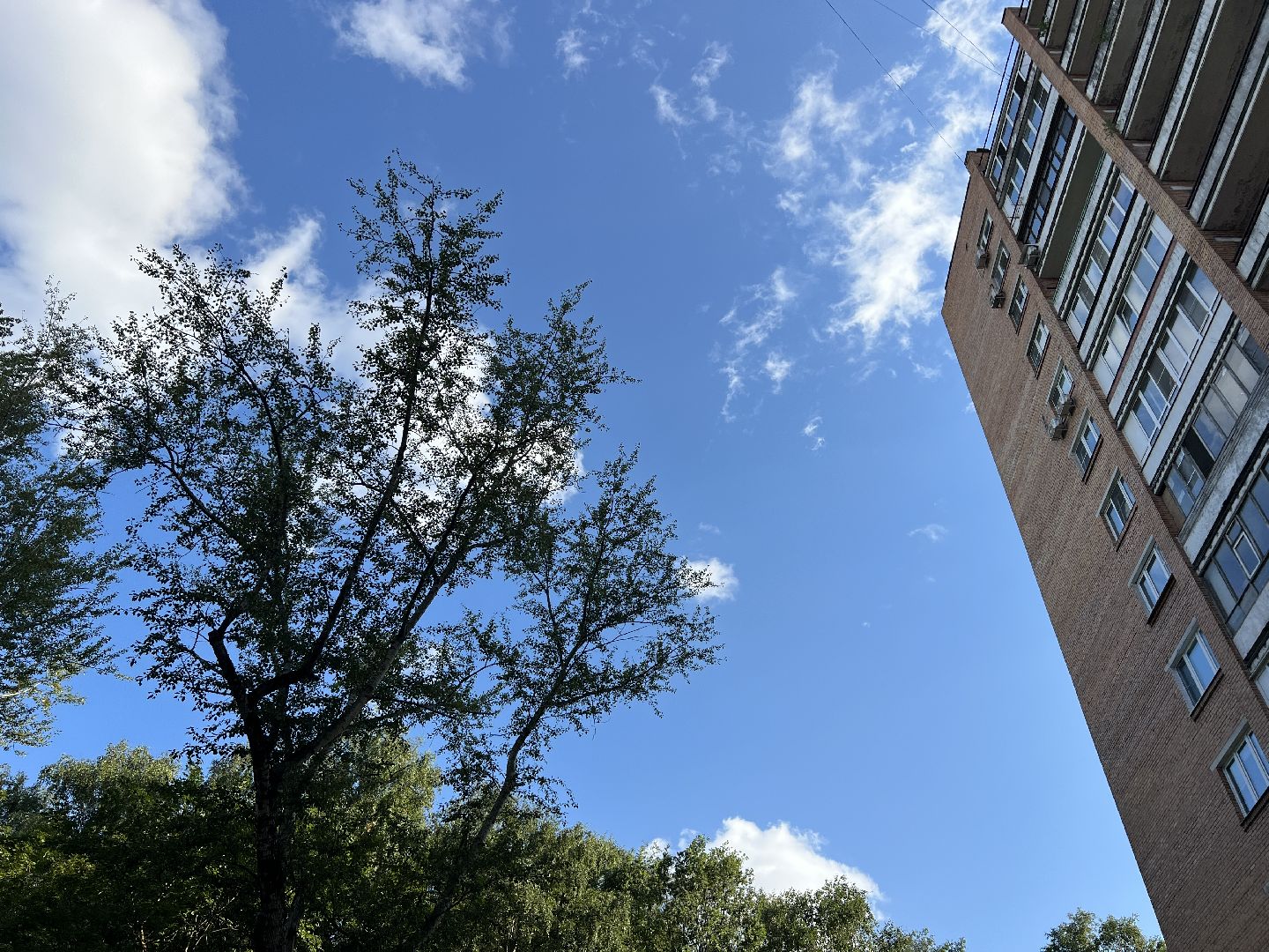 химки, выездная администрация, благоустройство, обращения жителей,