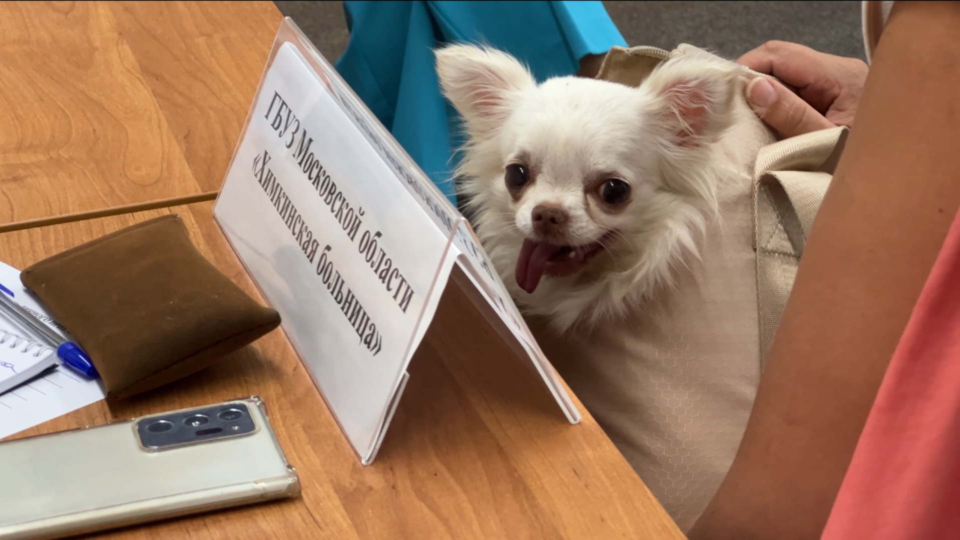 химки, выездная администрация, благоустройство, обращения жителей,