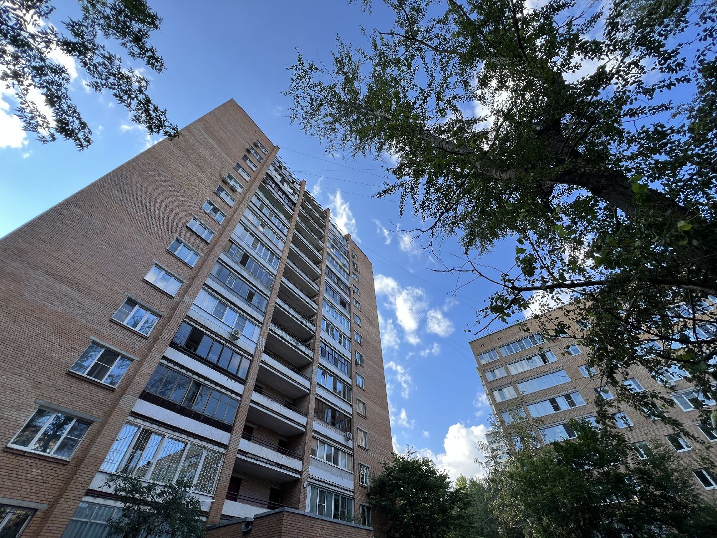 химки, выездная администрация, благоустройство, обращения жителей,