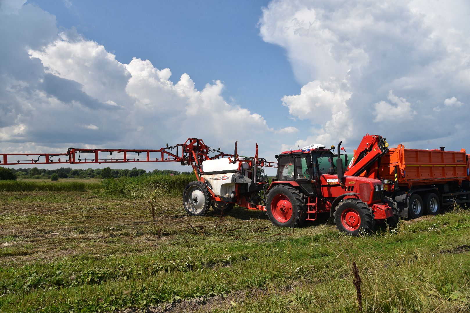 лотошино, сельское хозяйство, рапс,
