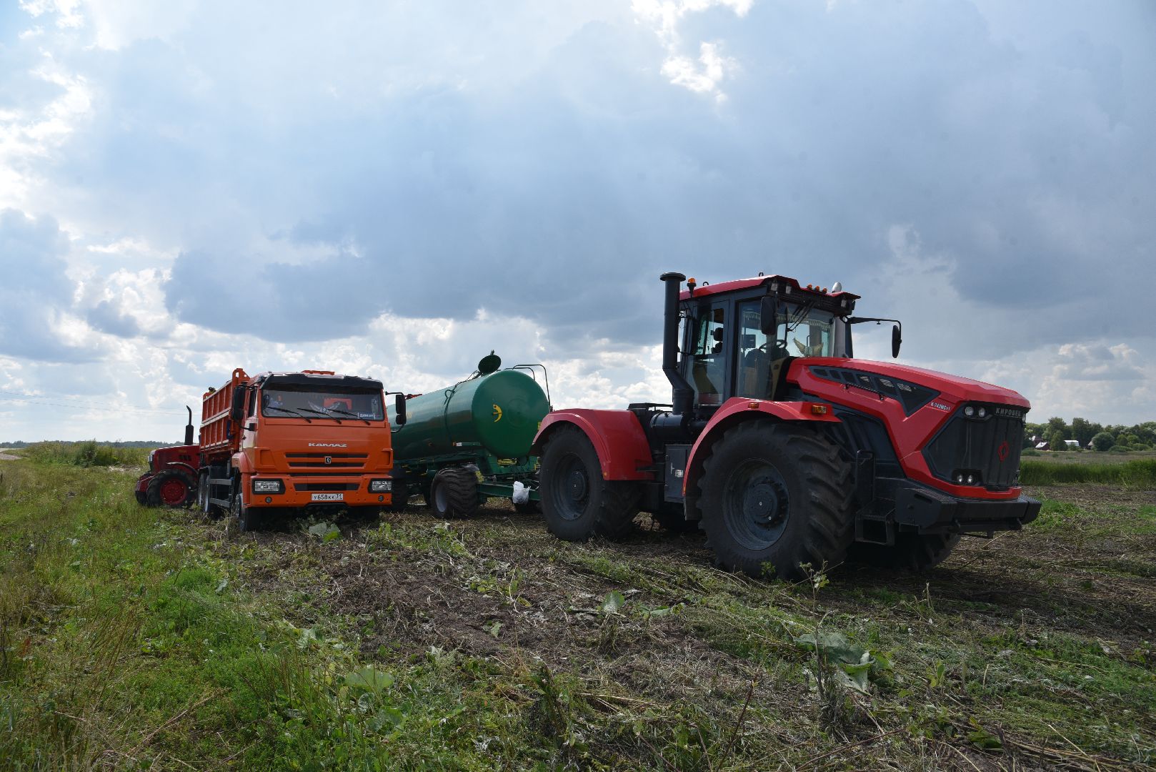 лотошино, сельское хозяйство, рапс,