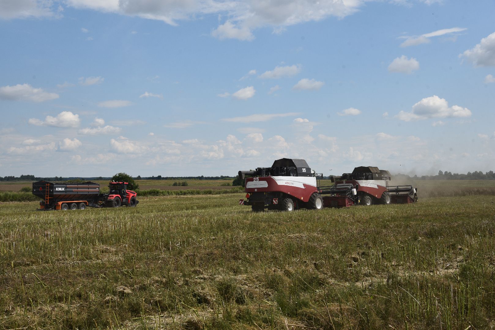 лотошино, сельское хозяйство, рапс,