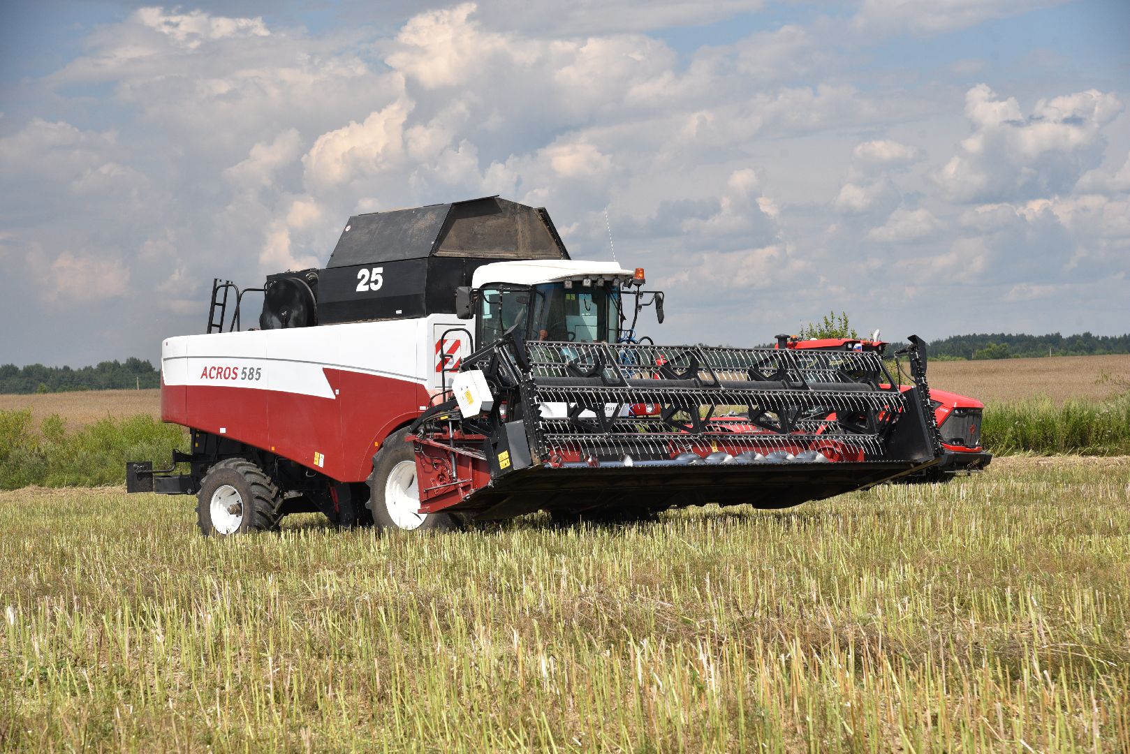 лотошино, сельское хозяйство, рапс,