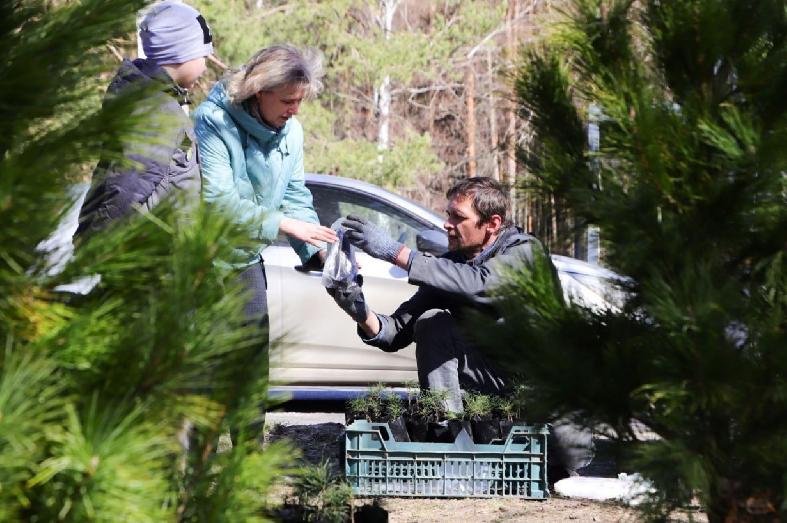 общество, акция, деревья, весна