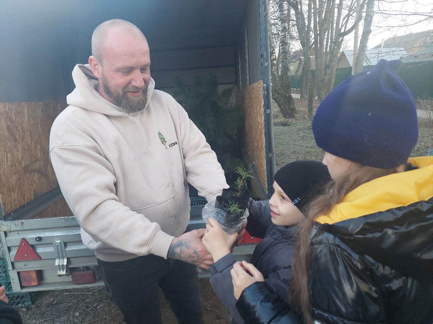 общество, акция, деревья, весна