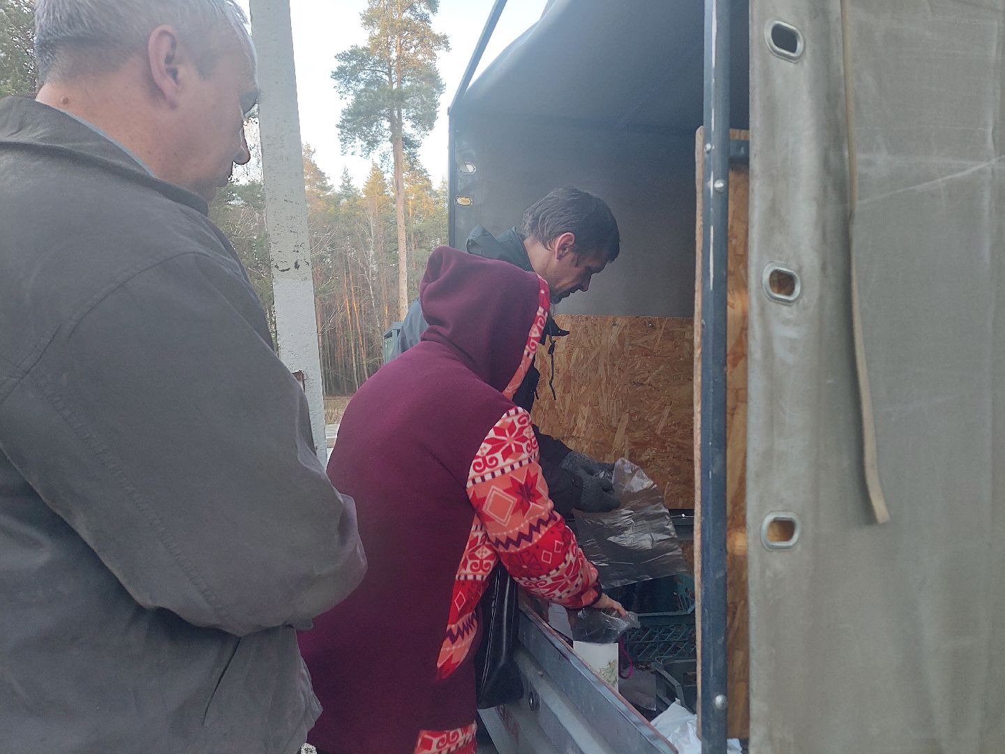 общество, акция, деревья, весна