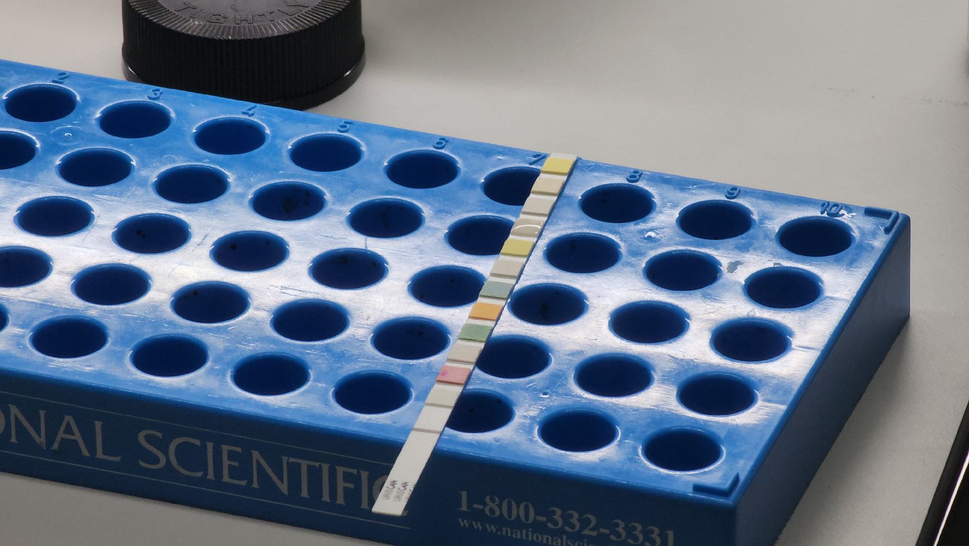 долгопрудный, мфти, студенческий стартап, анализ мочи,