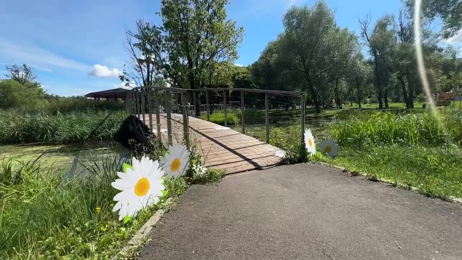 Реутов, свадьба в парке, свадьба в подмосковье, фабричный пруд, молодожены,