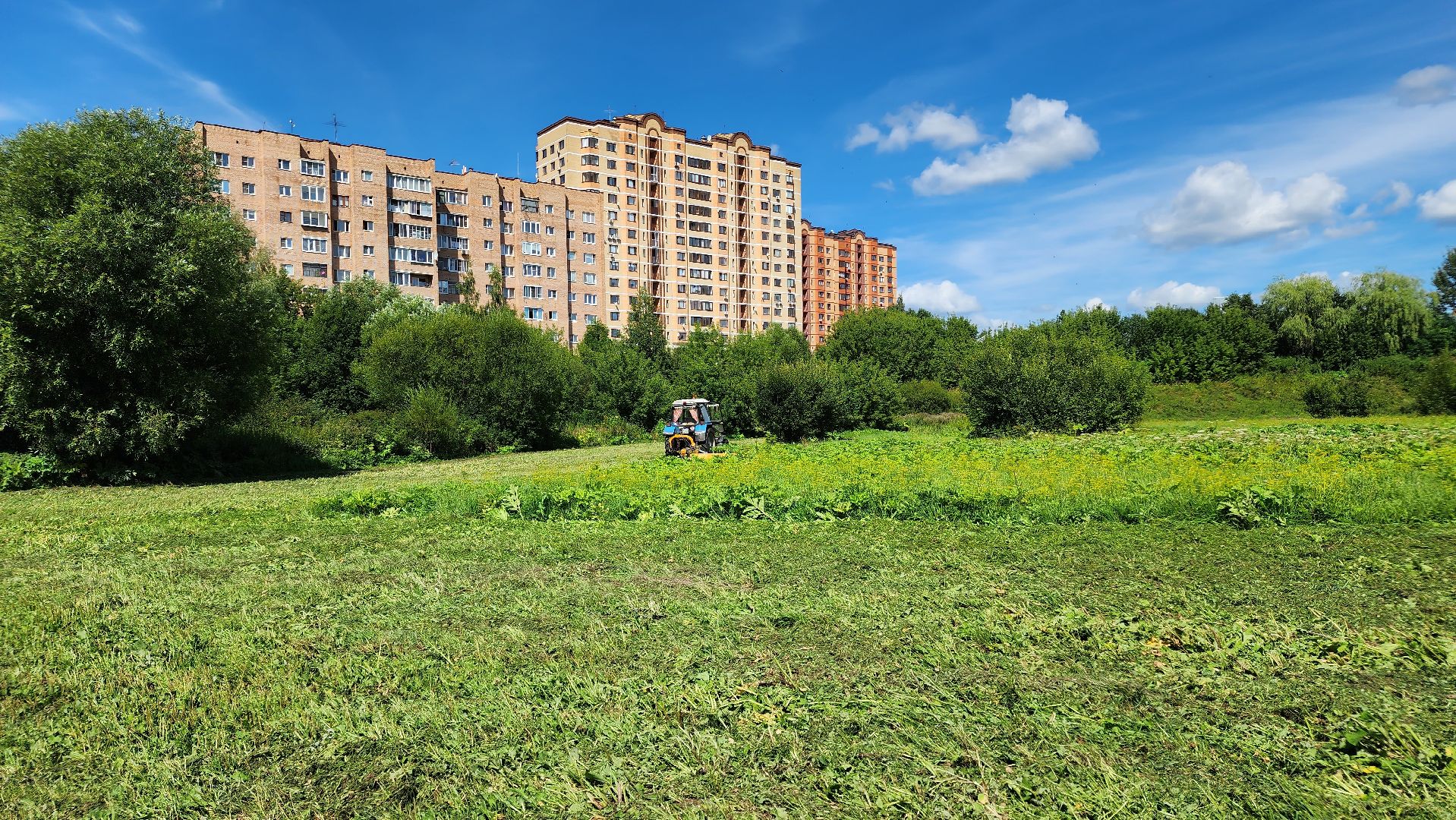 истра, подмосквье, благоустройство 2023, борщевик,