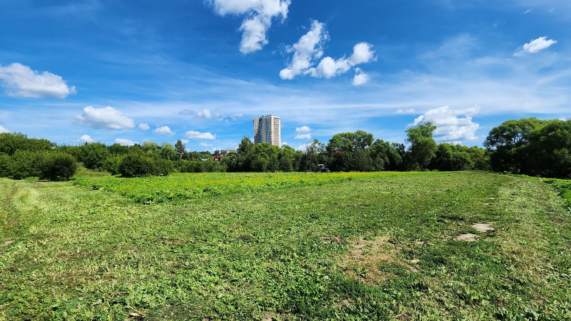 истра, подмосквье, благоустройство 2023, борщевик,