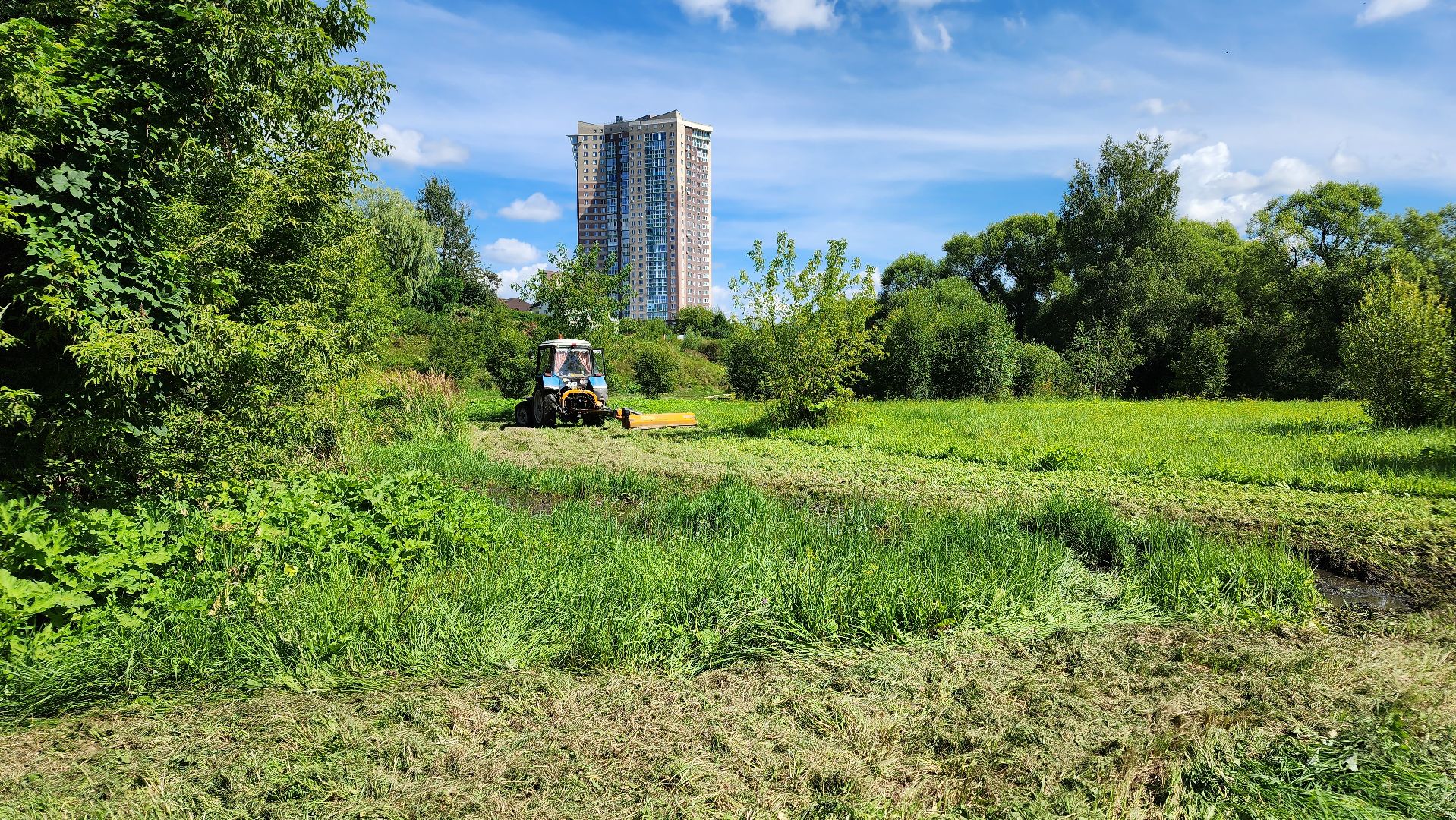 истра, подмосквье, благоустройство 2023, борщевик,