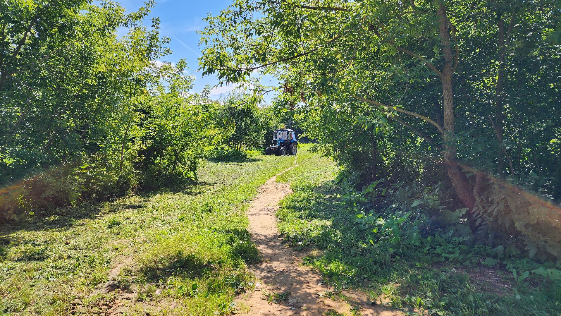 истра, подмосквье, благоустройство 2023, борщевик,