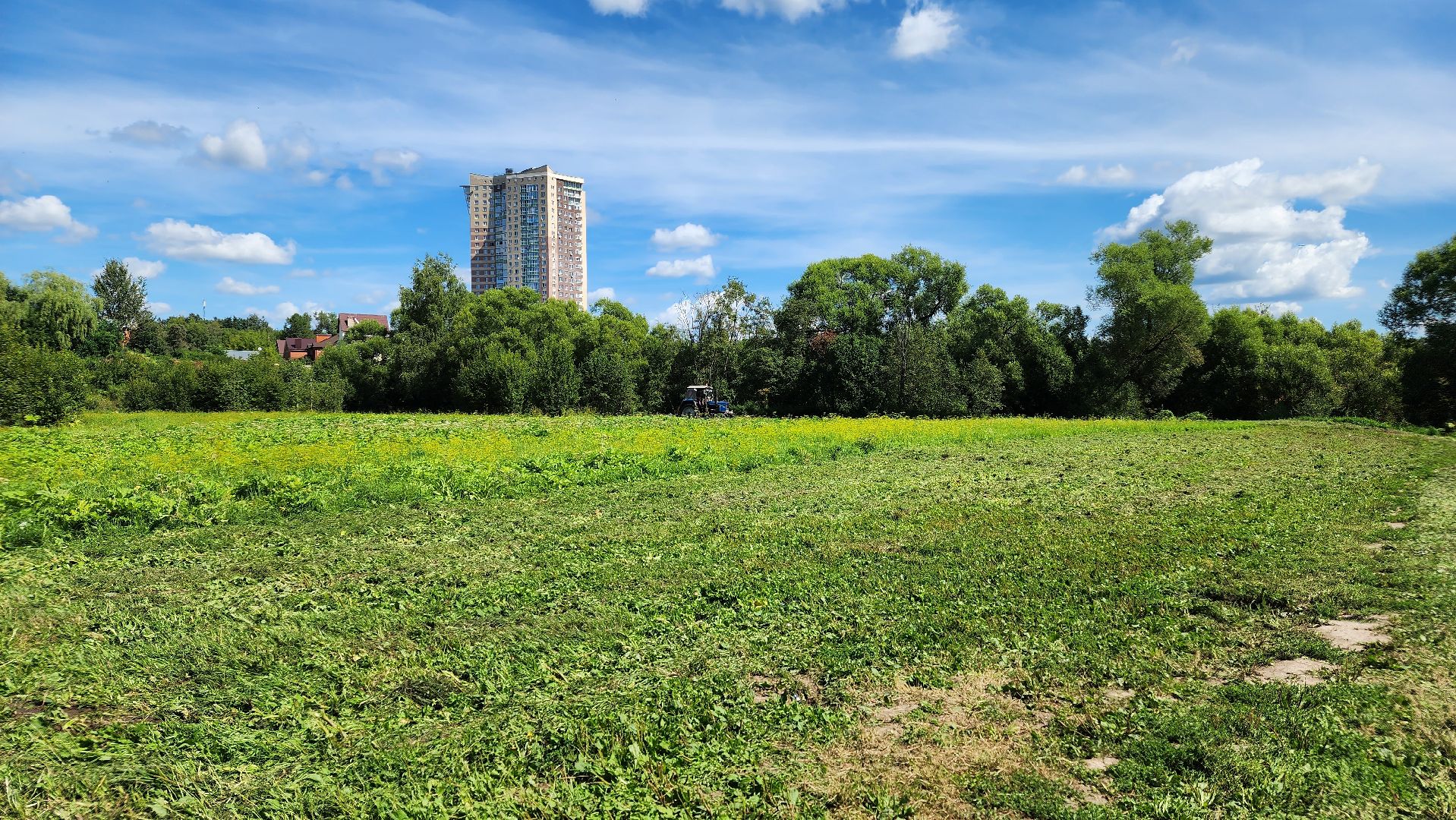 истра, подмосквье, благоустройство 2023, борщевик,